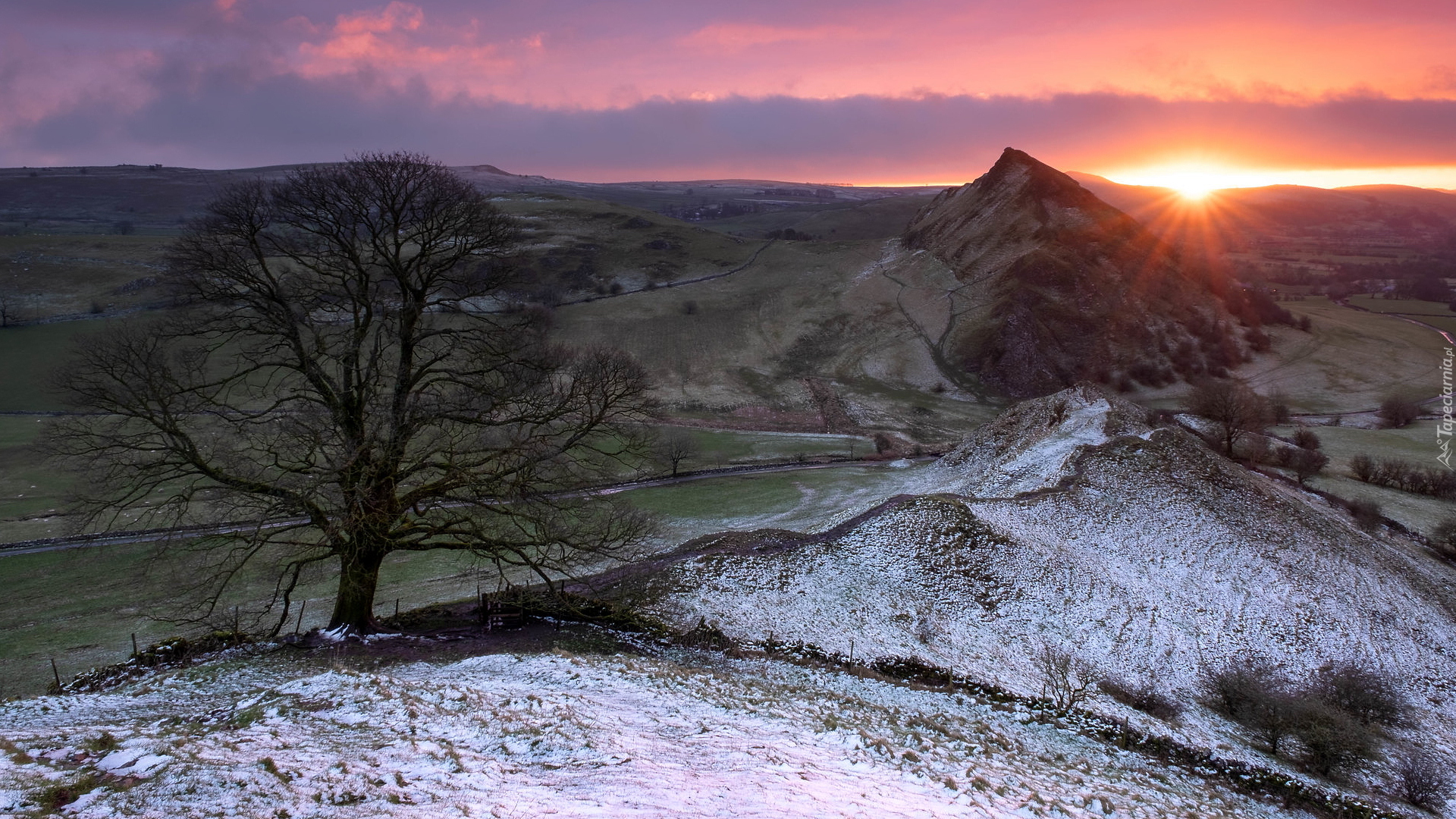 Park Narodowy Peak District, Drzewo, Ośnieżone, Wzgórze, Parkhouse Hill, Wschód słońca, Anglia