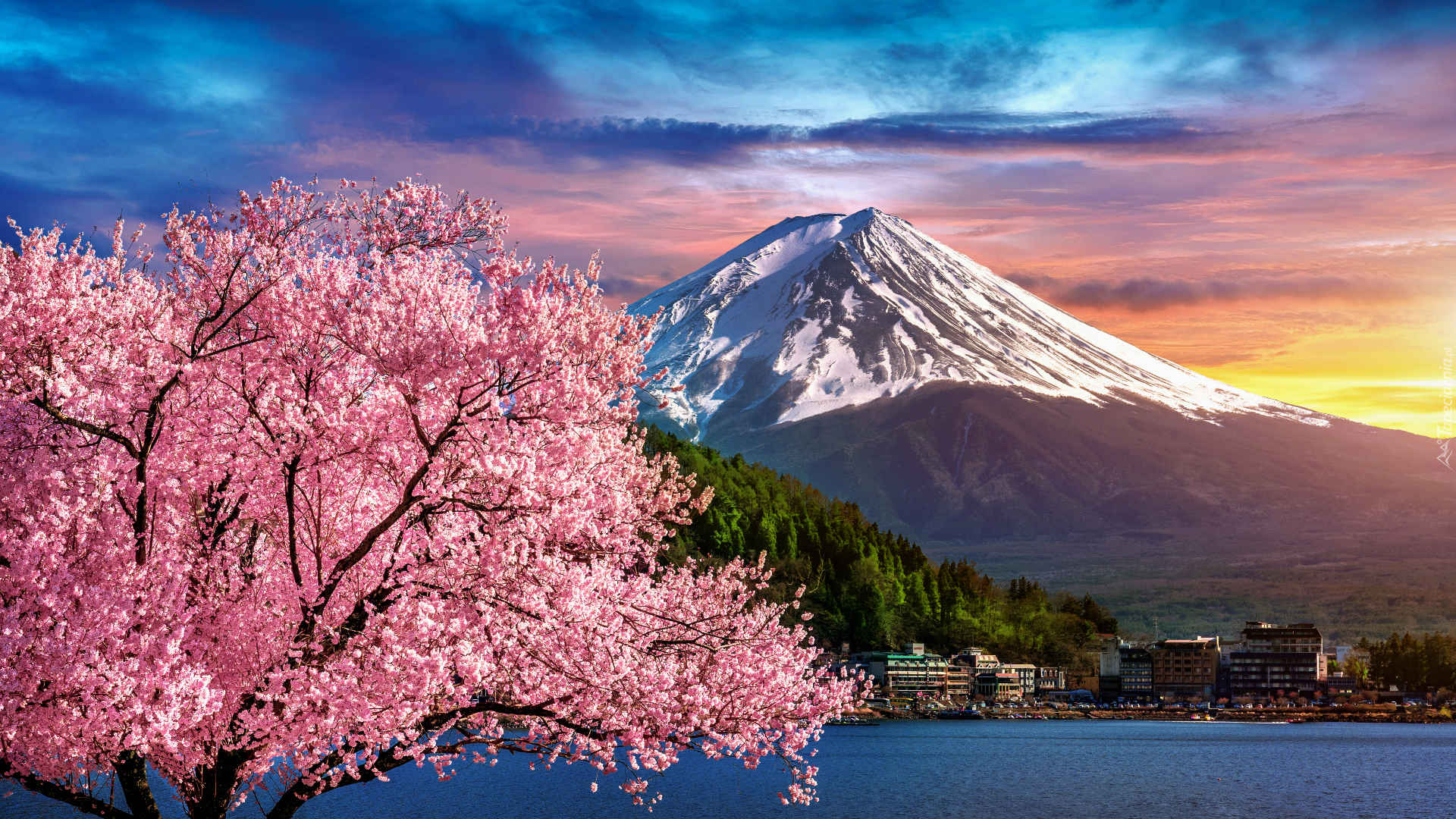 Wiosna, Kwitnące, Drzewo, Domy, Stratowulkan Fudżi, Góra, Mount Fuji, Japonia