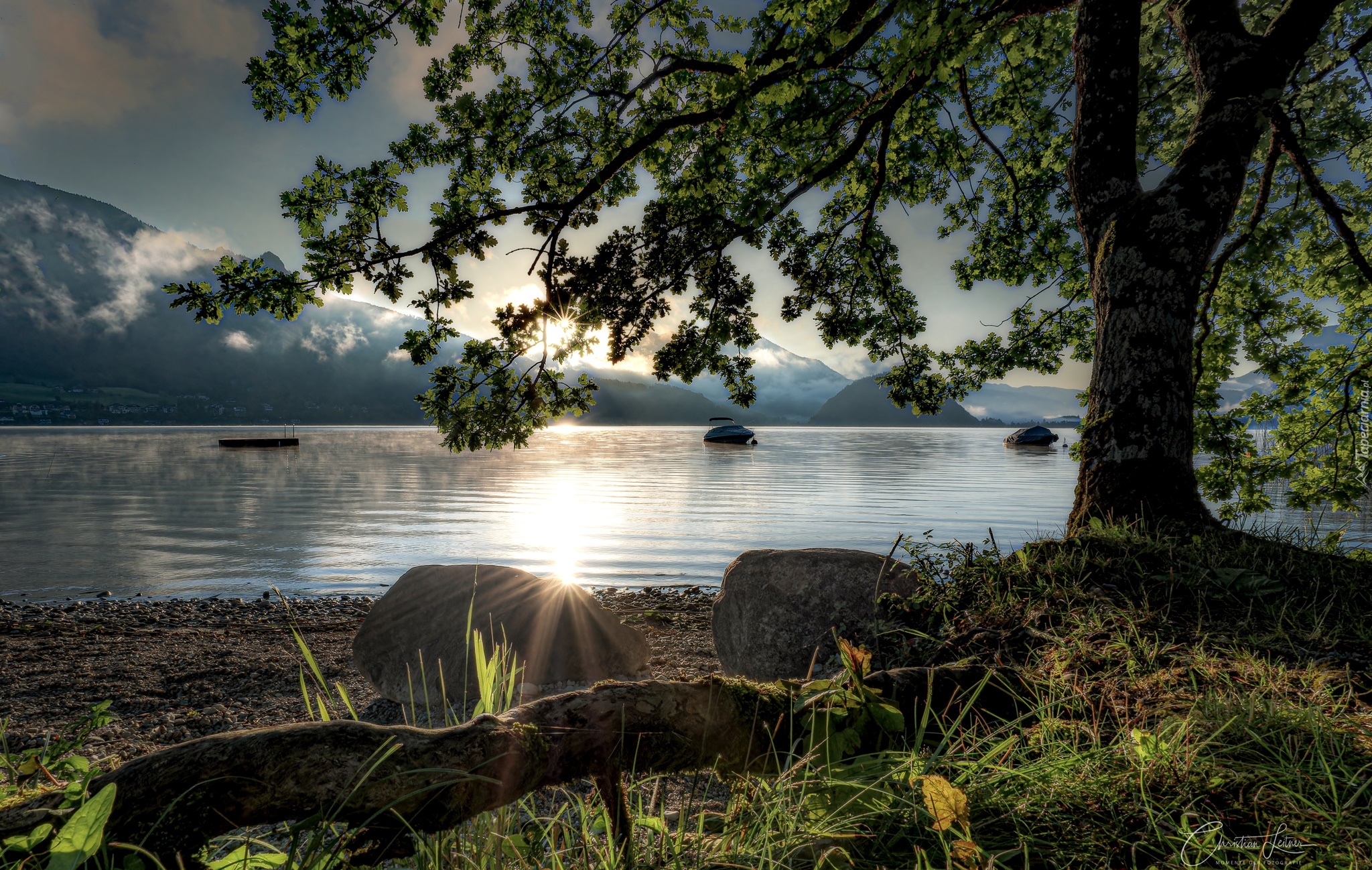 Drzewo, Jezioro Wolfgang, Wschód słońca, Góry, Austria