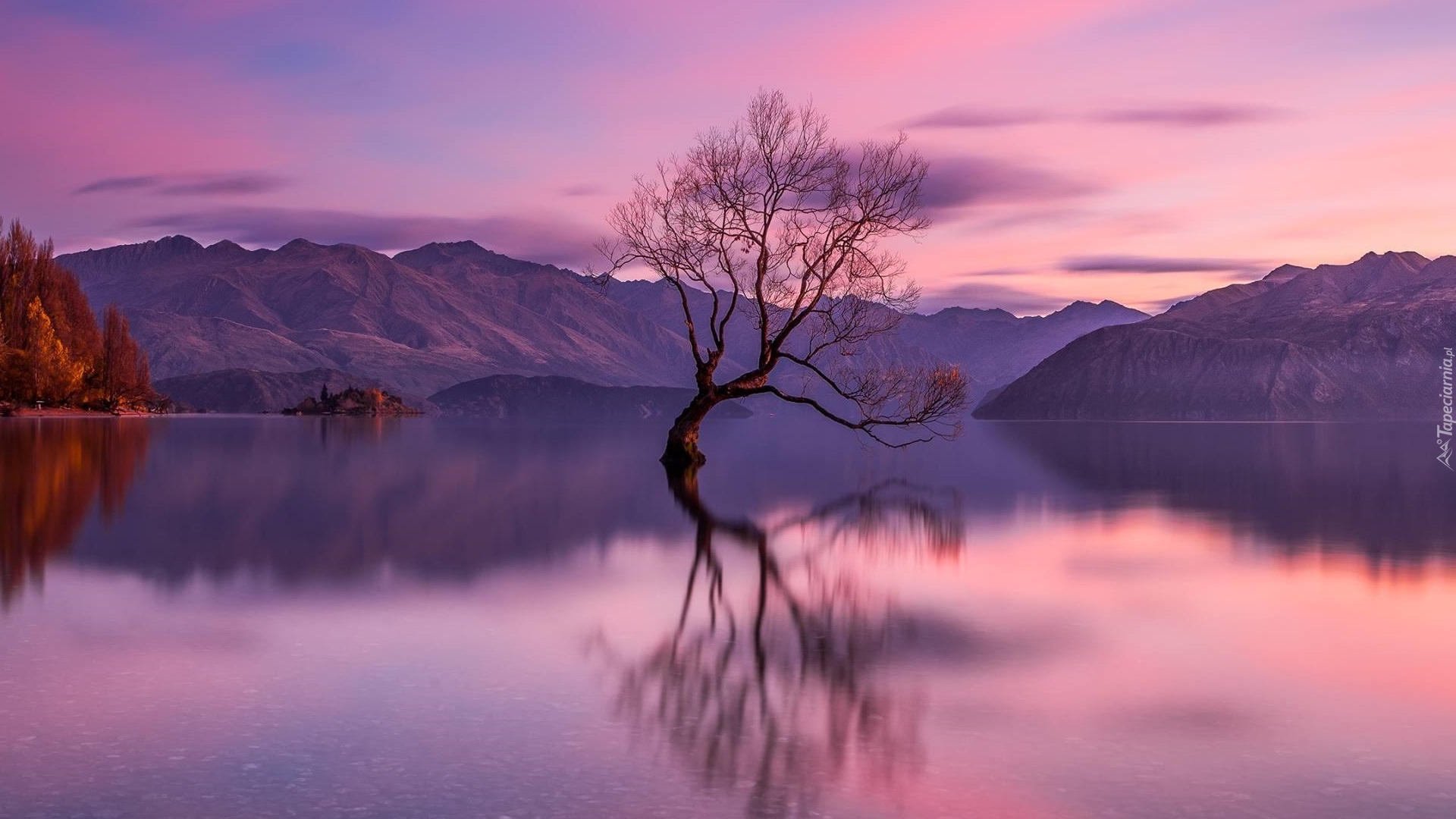 Jezioro Wanaka, Drzewo, Odbicie, Góry, Jesień, Chmury, Nowa Zelandia