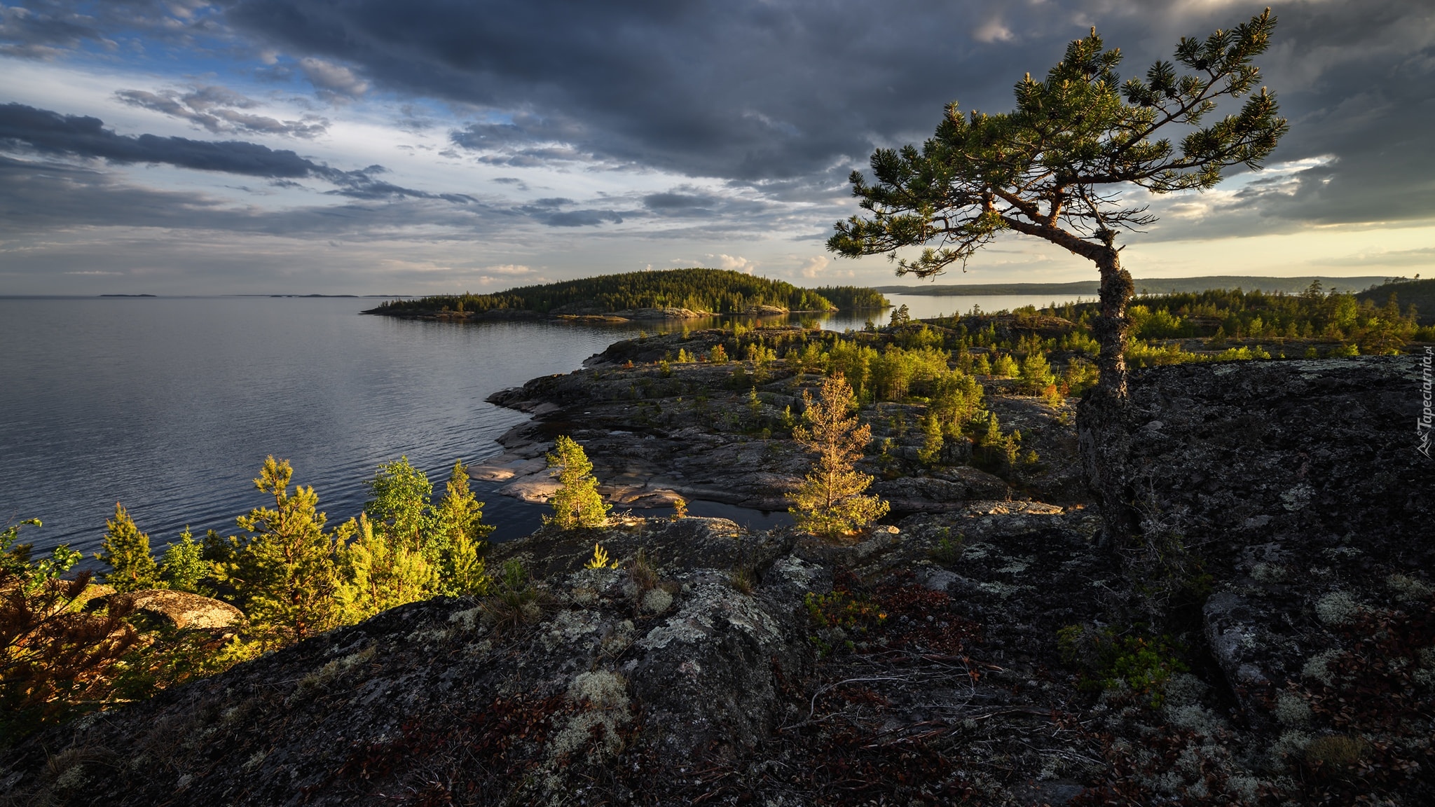Rosja, Karelia, Jezioro, Ładoga, Skały, Drzewo, Chmury
