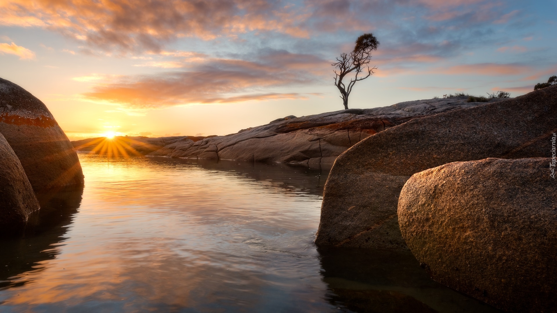 Australia, Tasmania, Binalong Bay, Morze, Skały, Drzewo, Wschód słońca, Chmury