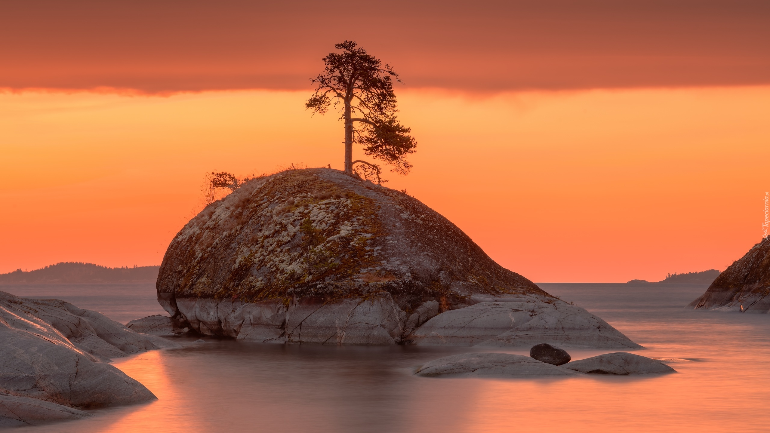 Rosja, Karelia, Jezioro, Ładoga, Skała, Drzewo