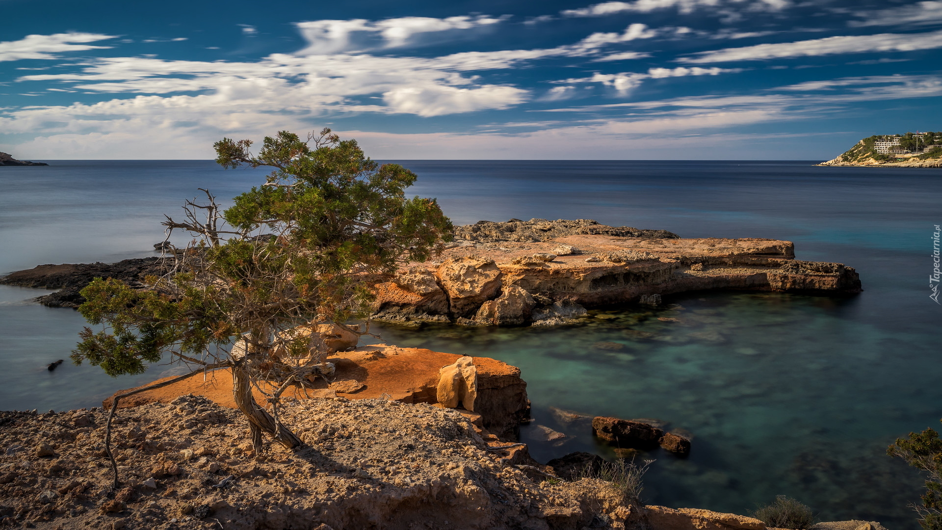 Skały, Plaża, Sillot des Rencli, Morze, Drzewo, Ibiza, Hiszpania