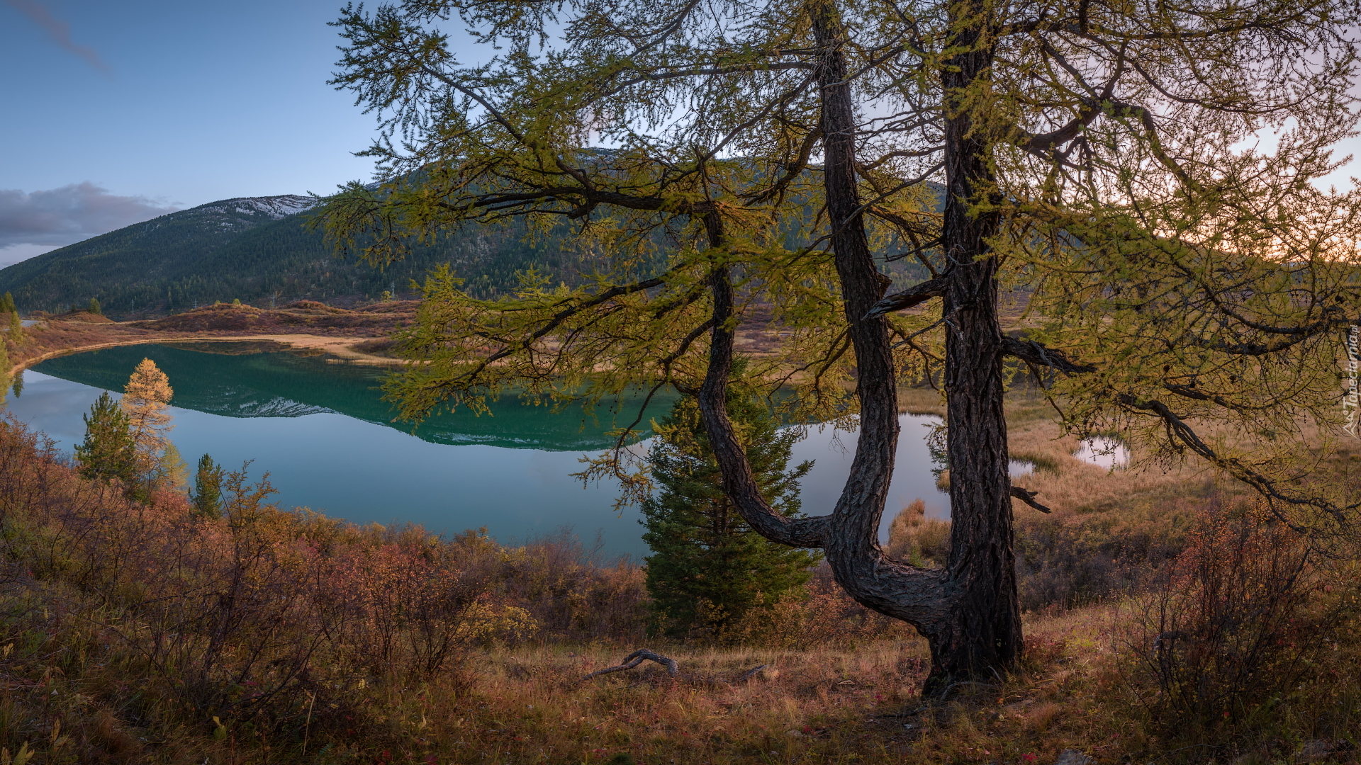 Jezioro, Góra, Drzewa, Jesień