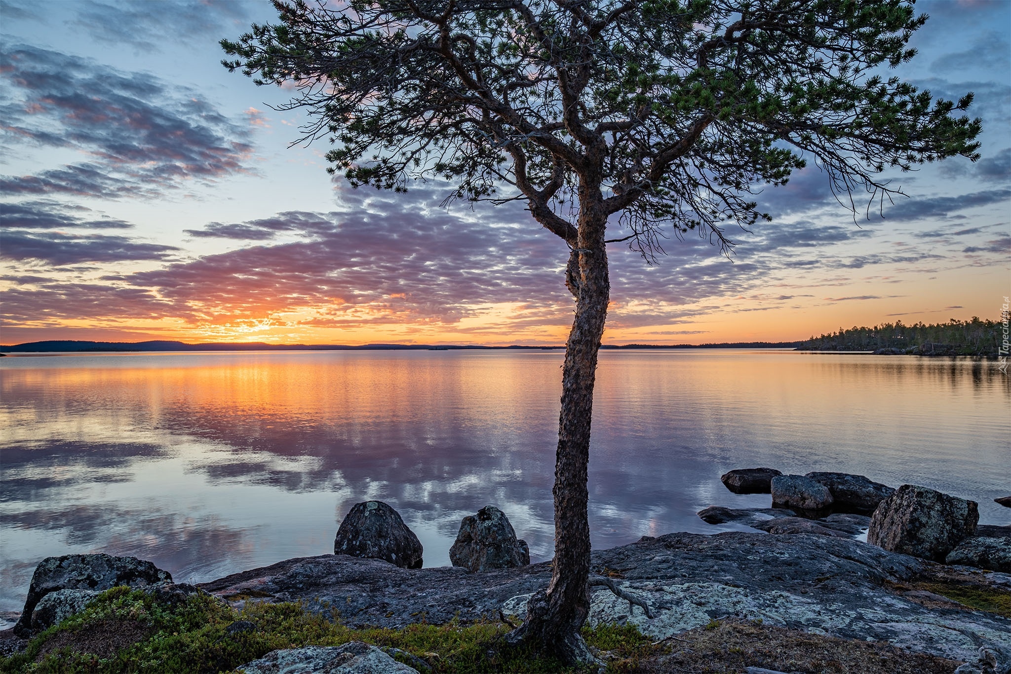Jezioro, Lake Inari, Drzewo, Zachód słońca, Chmury, Finlandia