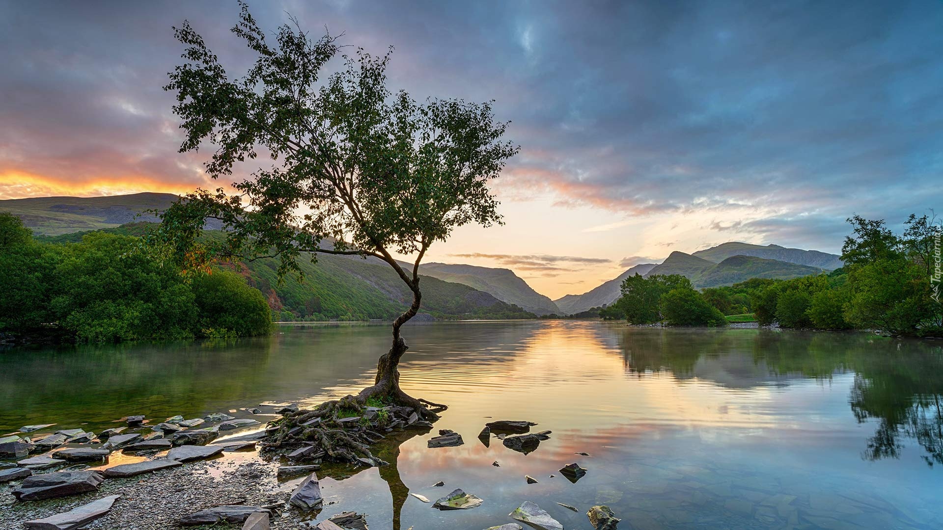 Wielka Brytania, Walia, Park Narodowy Snowdonia, Jezioro, Llyn Padarn, Góry, Drzewo, Kamienie, Zachód słońca