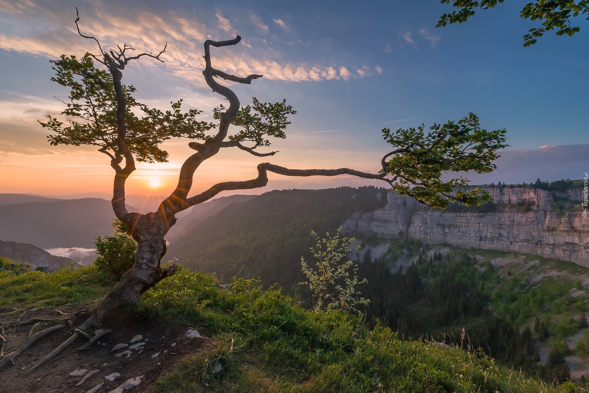 Skały, Atrakcja Creux du Van, Dolina Val de Travers, Kanton Neuchatel, Szwajcaria, Drzewo, Wschód słońca, Chmury