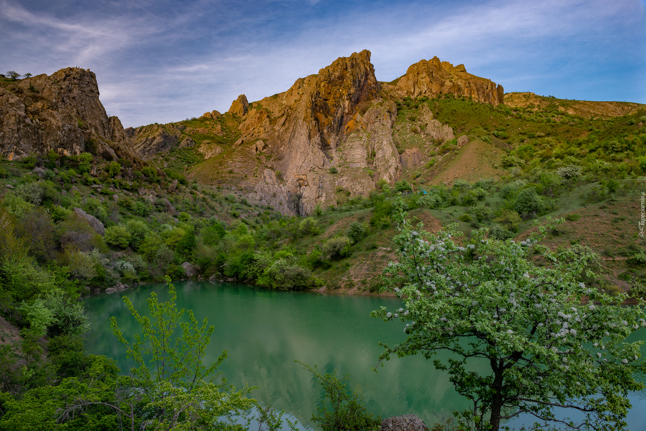 Góry, Jezioro, Krzewy, Drzewa