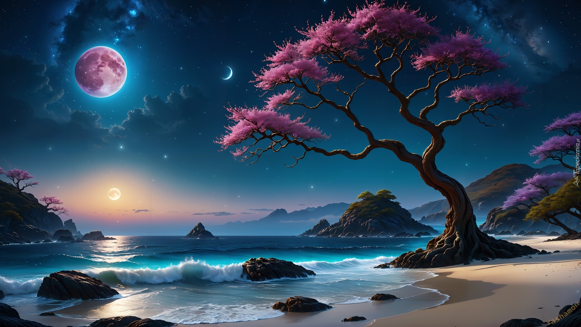 Morze, Skały, Drzewo, Księżyc, Gwiazdy, Grafika
