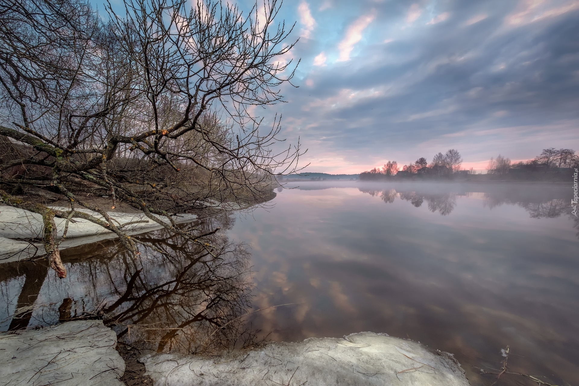 Rzeka Dubna, Domy, Mgła, Drzewo, Łatgalia, Łotwa