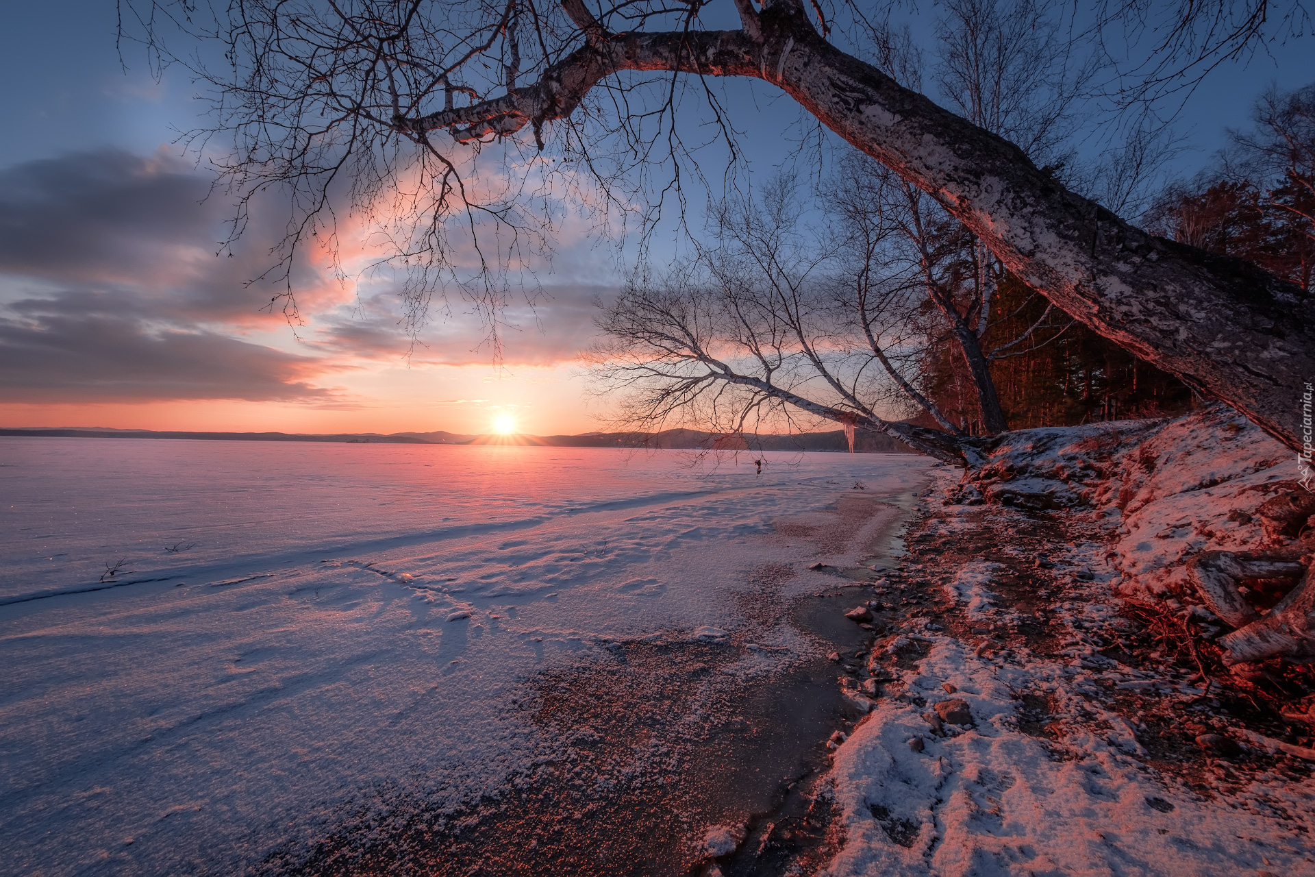 Jezioro Turgoyak, Zima, Drzewa, Wschód Słońca, Obwód czelabiński, Rosja