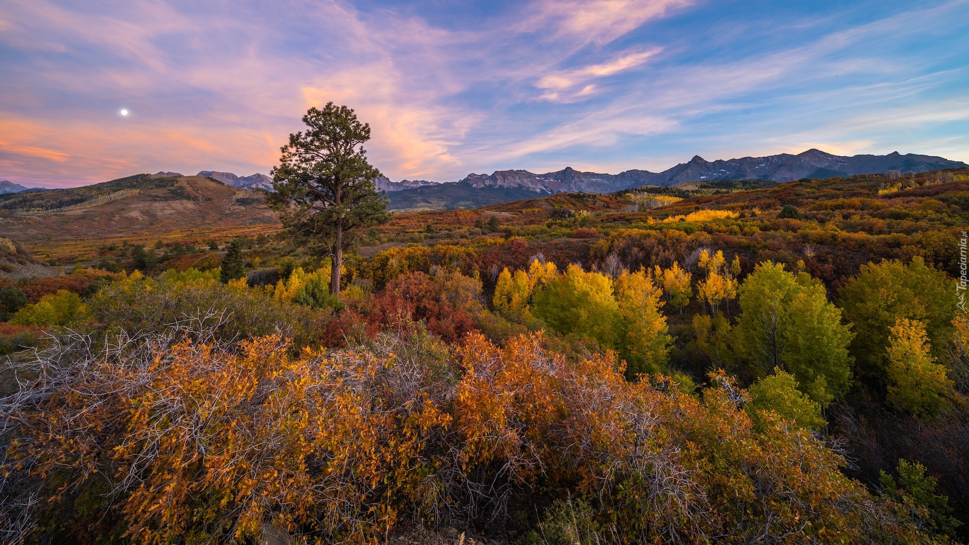 Stany Zjednoczone, Stan Kolorado, Telluride, Jesień, Wzgórza, Roślinność, Kolorowa, Drzewo, Księżyc