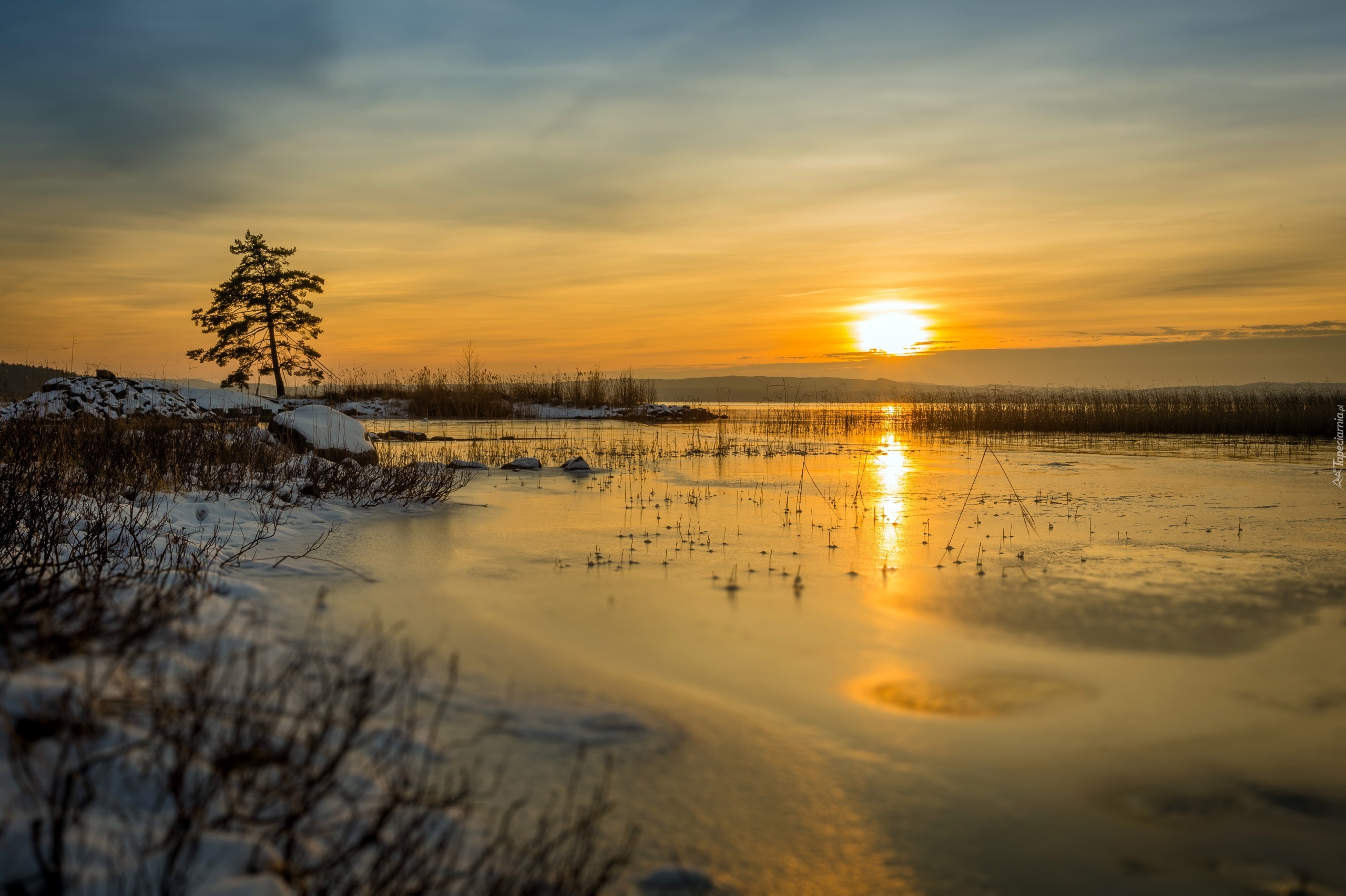 Zima, Jezioro Glafsfjorden, Wschód słońca, Drzewo, Szwecja