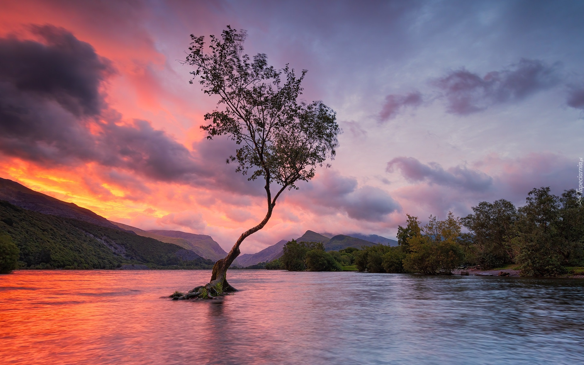 Walia, Jezioro, Llyn Padarn, Snowdonia, Góry, Drzewo, Zachód słońca, Chmury