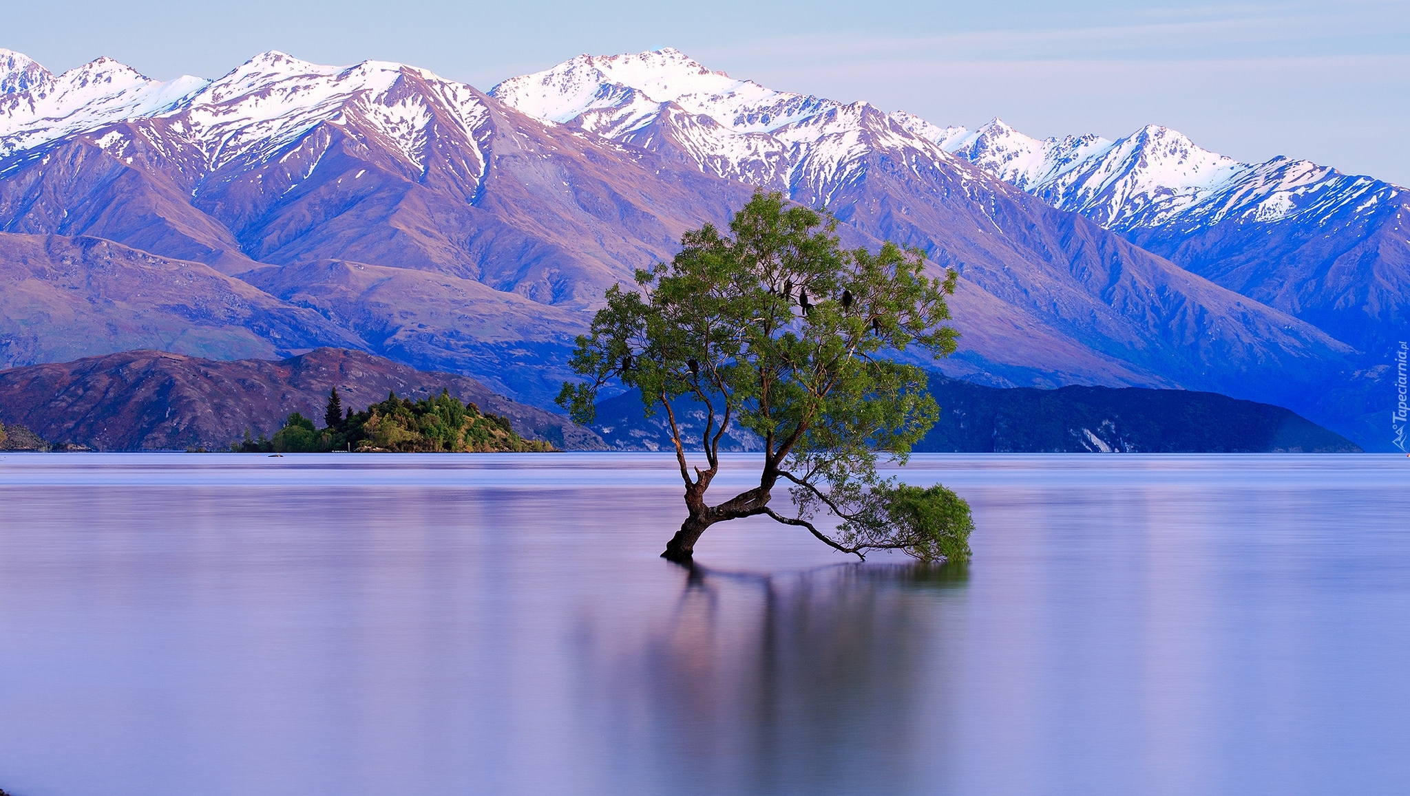 Jezioro Wanaka, Nowa Zelandia, Góry, Śnieg, Drzewo