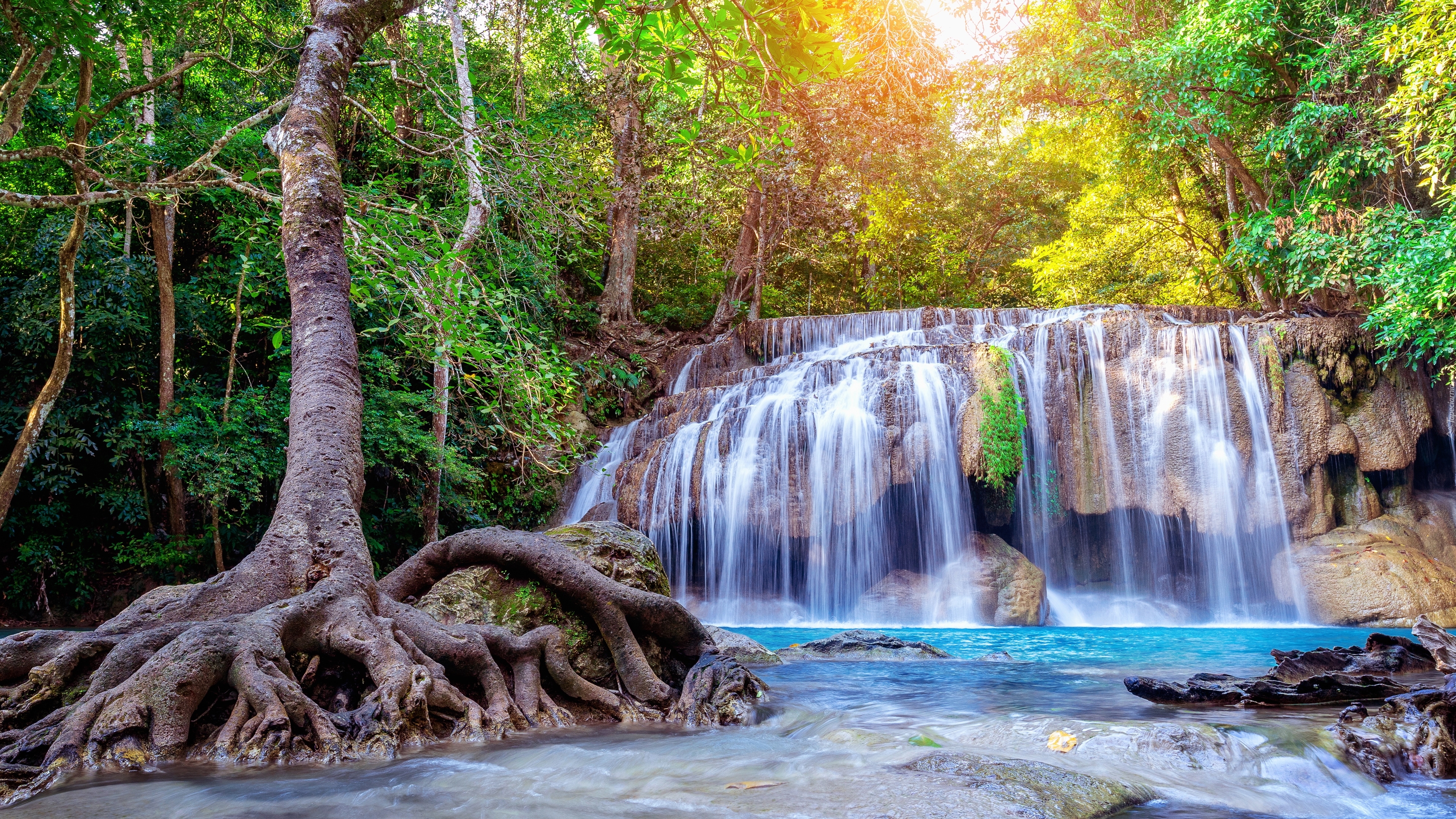 Wodospad, Erawan Waterfall, Drzewo, Korzenie, Park Narodowy Erawan, Prowincja Kanchanaburi, Tajlandia