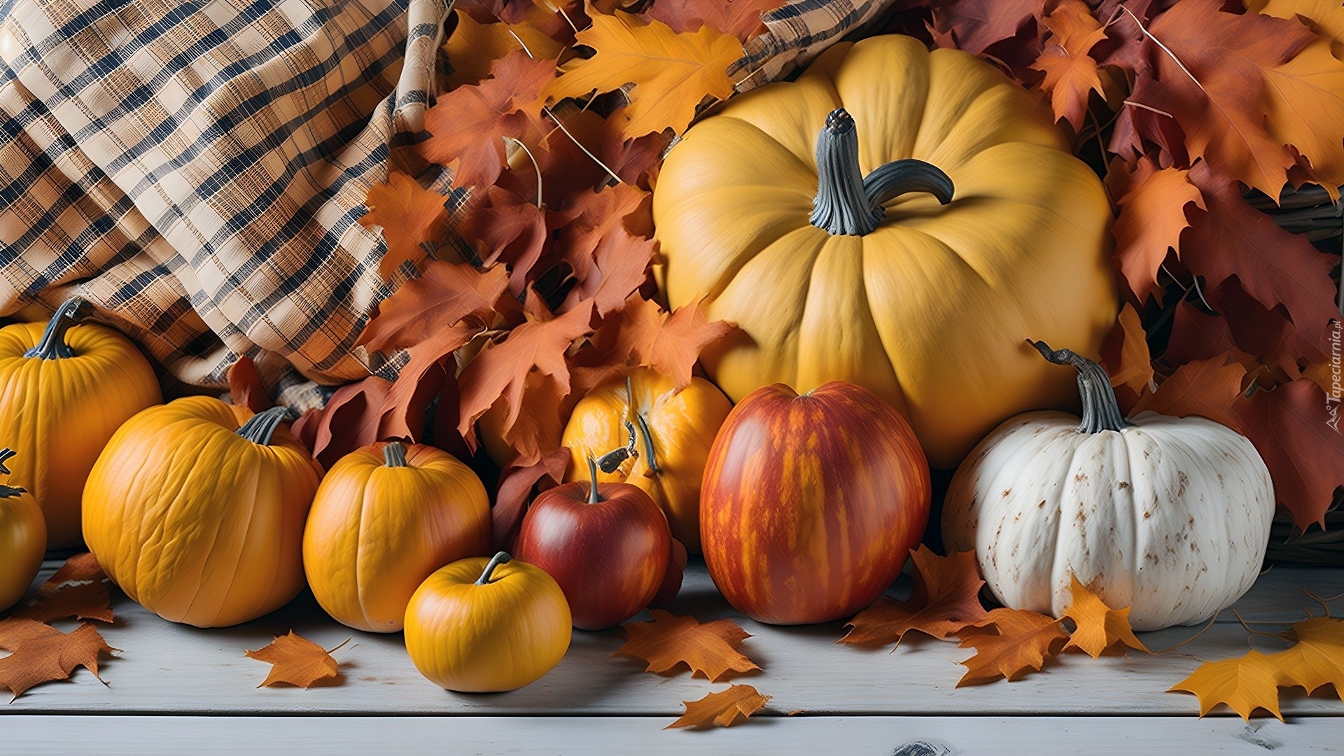 Jesień, Brązowe, Liście, Żółte, Białe, Dynie, Serweta, Al