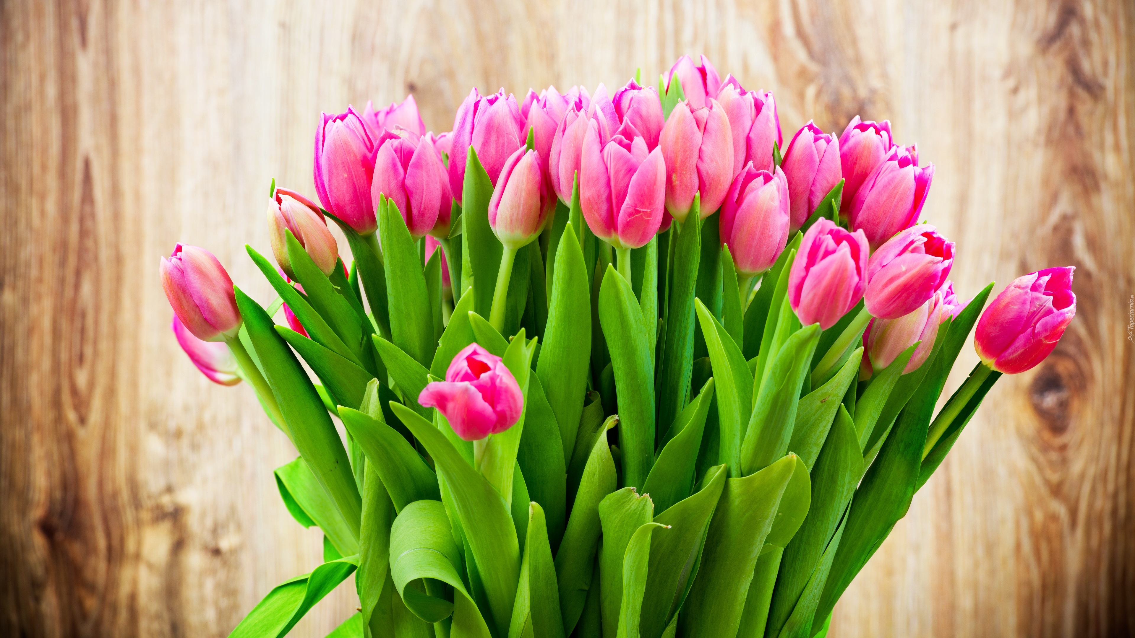 Bukiet, Tulipany, Różowe