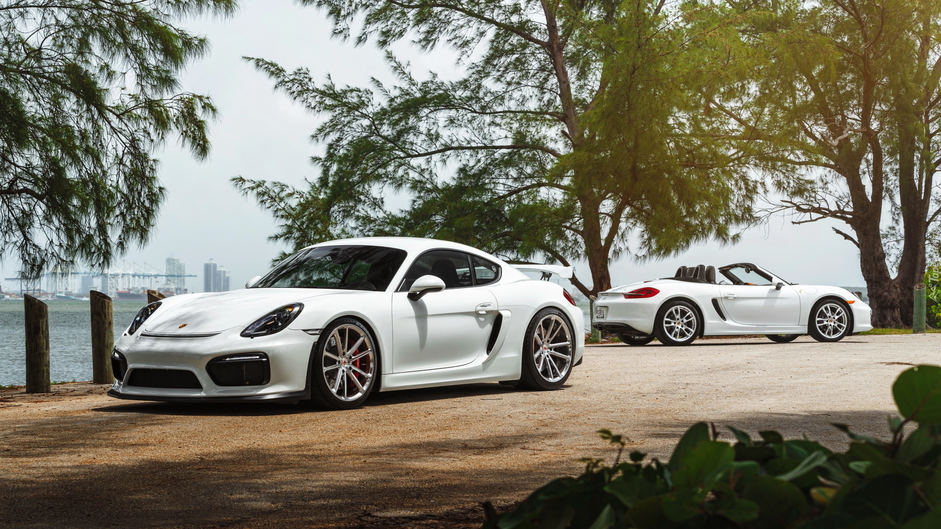 Dwa, Białe, Porche Cayman GT4