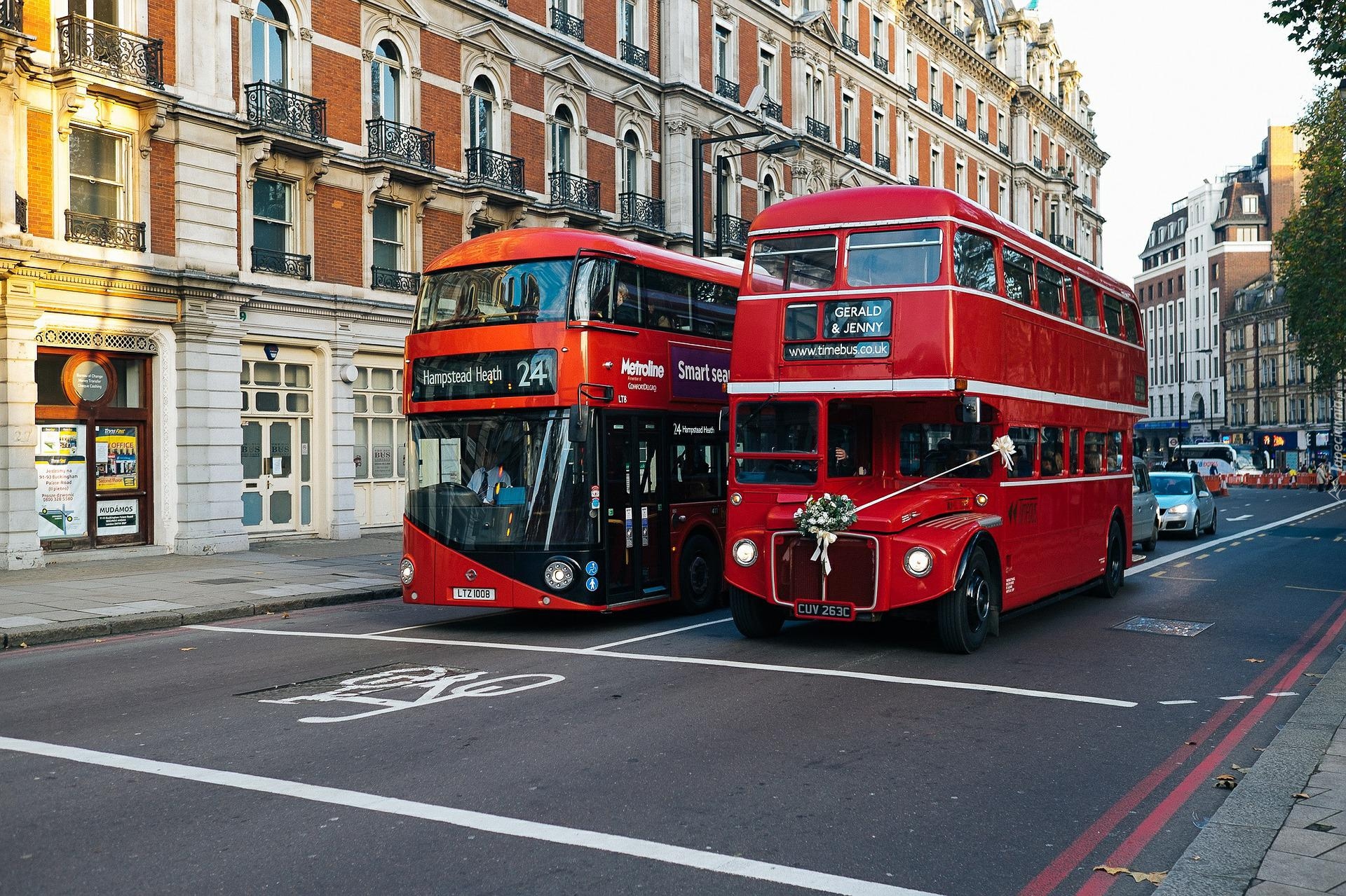 Autobus, Czerwony, Piętrowy, Domy, Ulica, Londyn, Anglia
