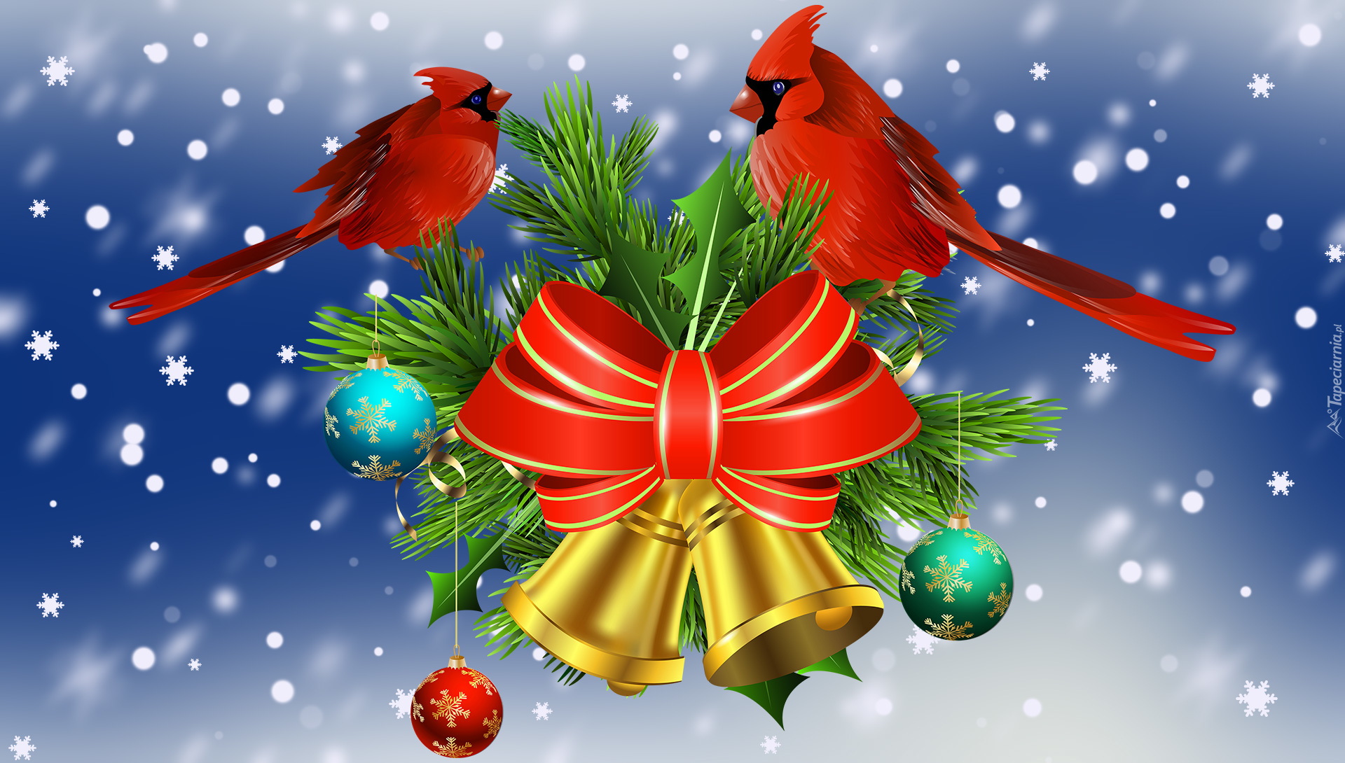 Boże Narodzenie, Ptaszki, Kardynały, Gałązki, Bombki, Grafika 2D