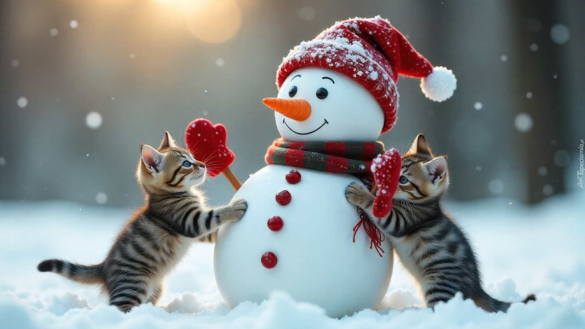 Zima, Bałwanek, Czapka, Szalik, Dwa, Małe, Koty