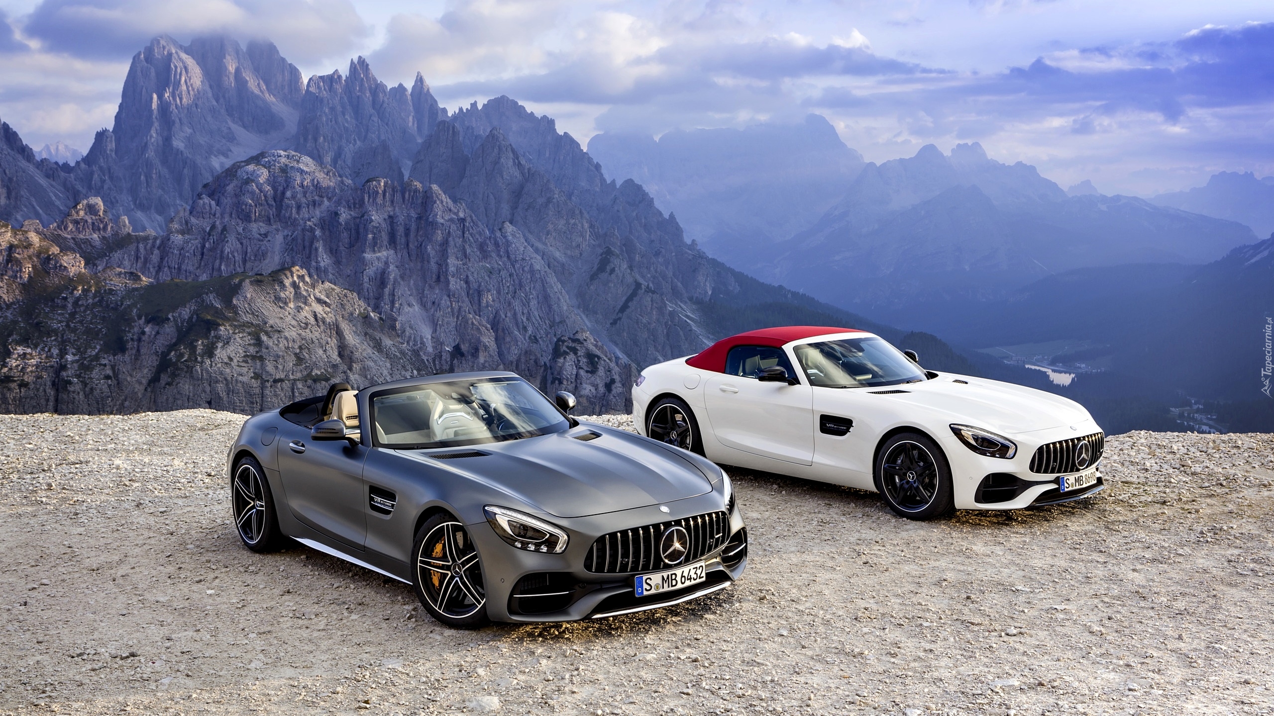 Dwa, Mercedesy-AMG GT, Roadster