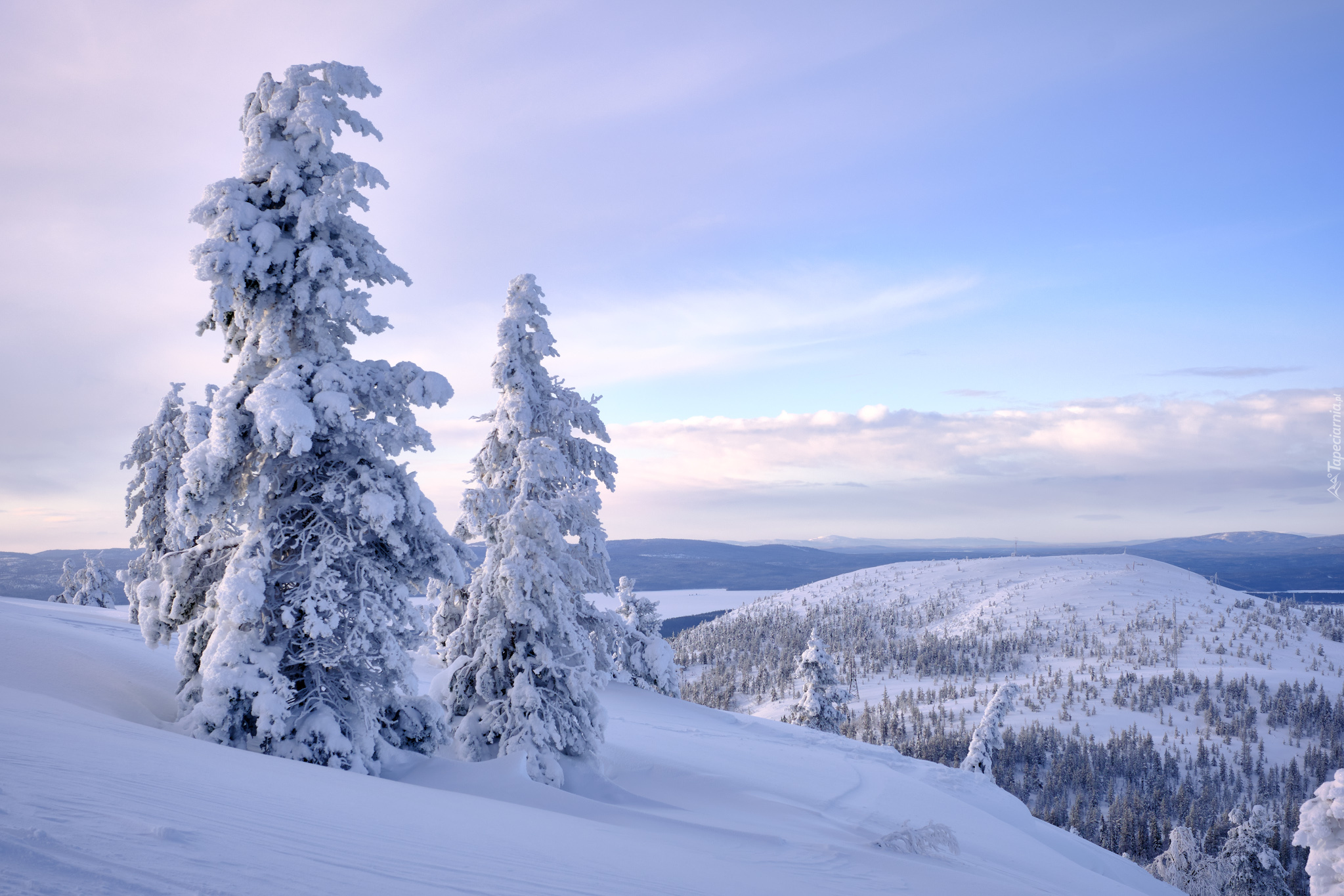 Zima, Śnieg, Dwa, Ośnieżone, Drzewa, Góry