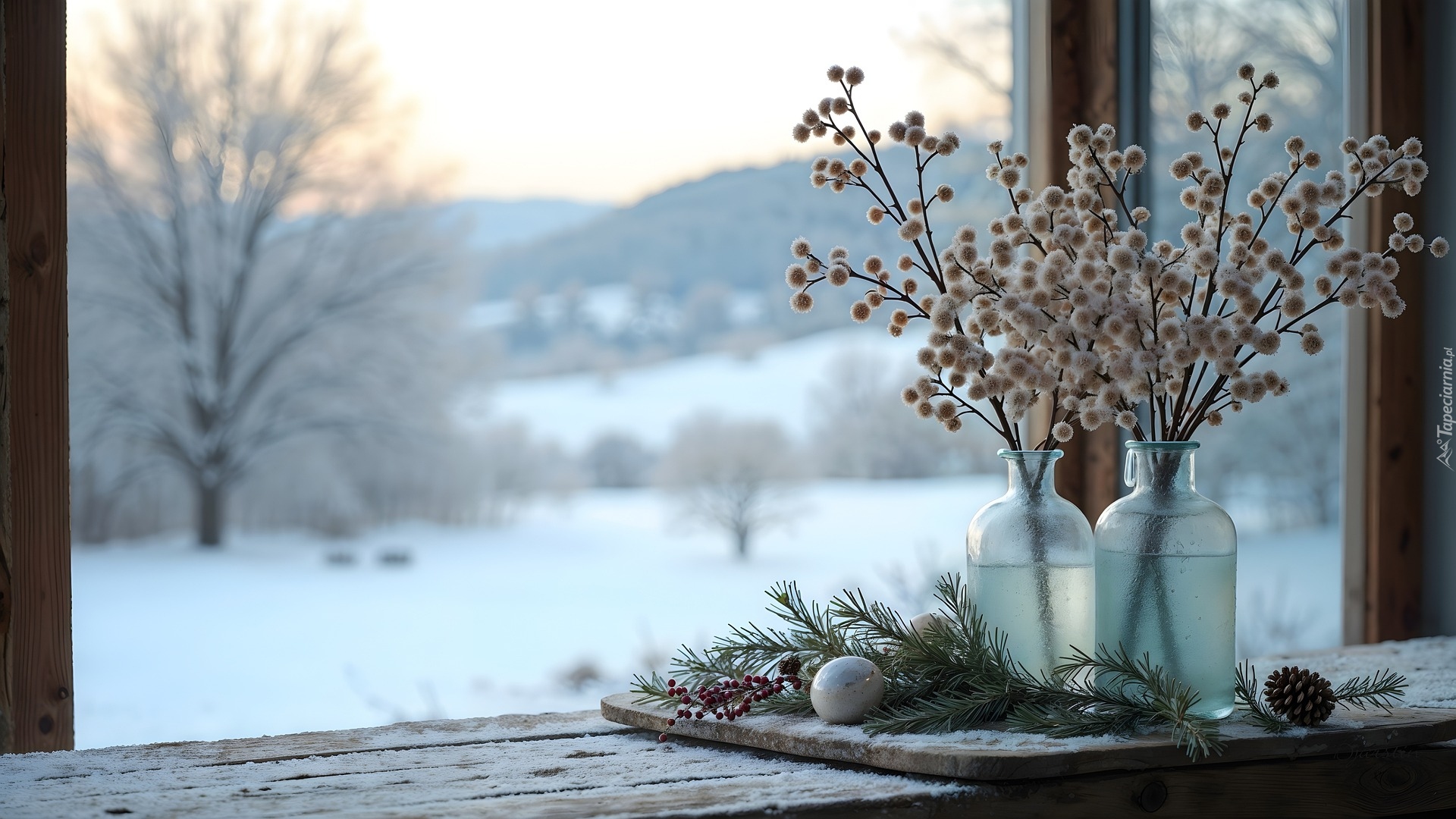 Zima, Wazony, Rośliny, Gałązka, Bombka, Szyszka, Kompozycja