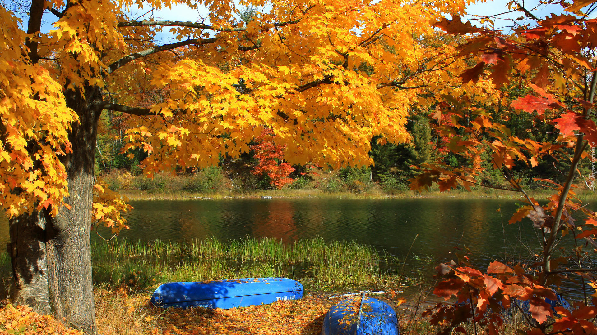 Jesień, Jezioro, Łódki, Drzewa