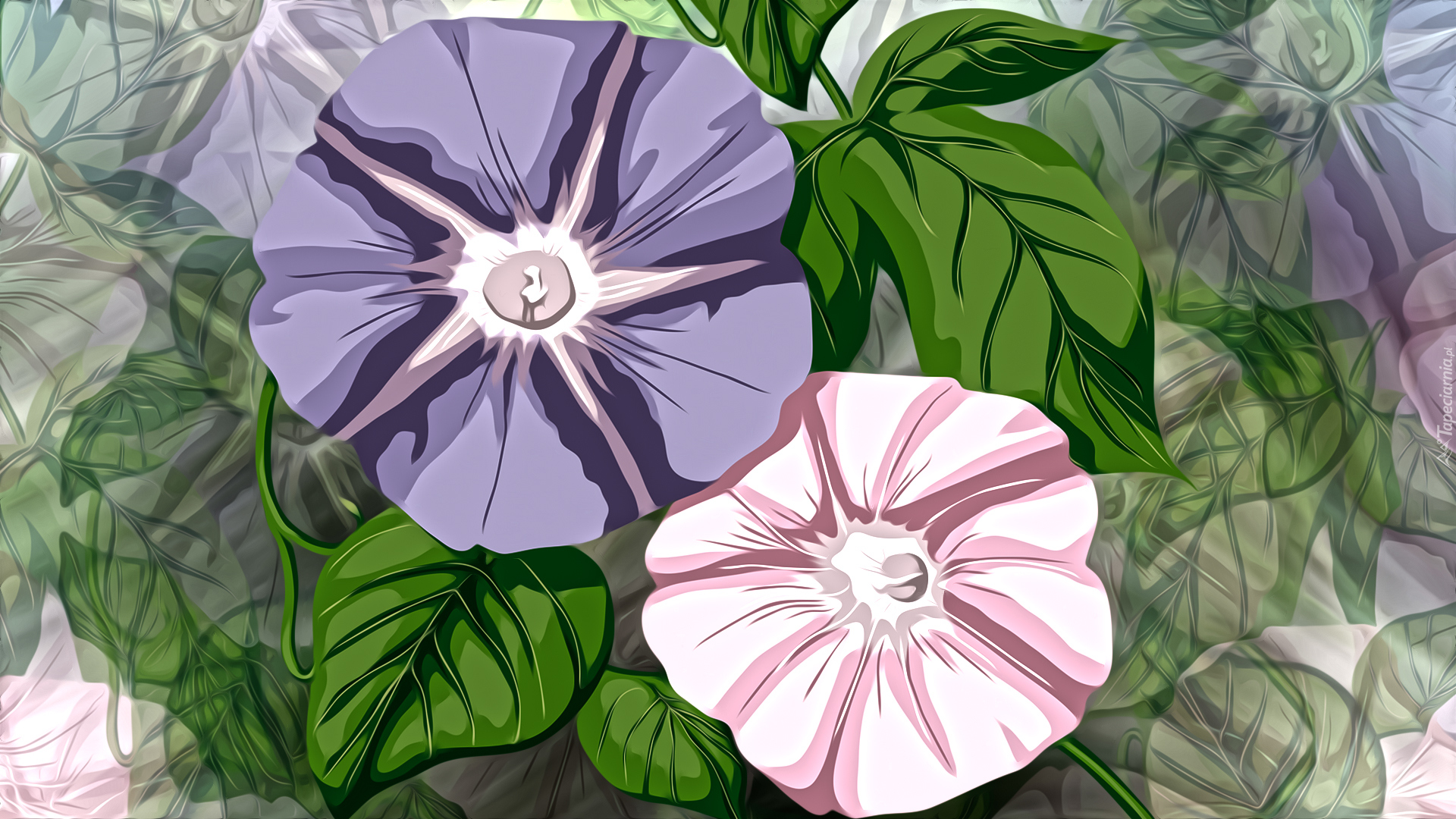 Grafika 2D, Kwiaty, Petunie