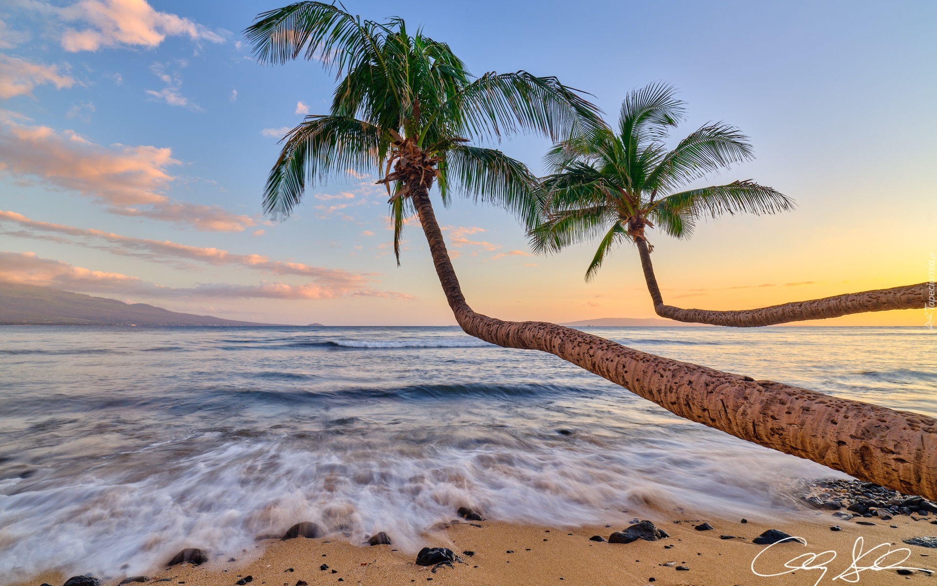 Stany Zjednoczone, Hawaje, Maui, Lahaina, Morze, PLaża, Palmy