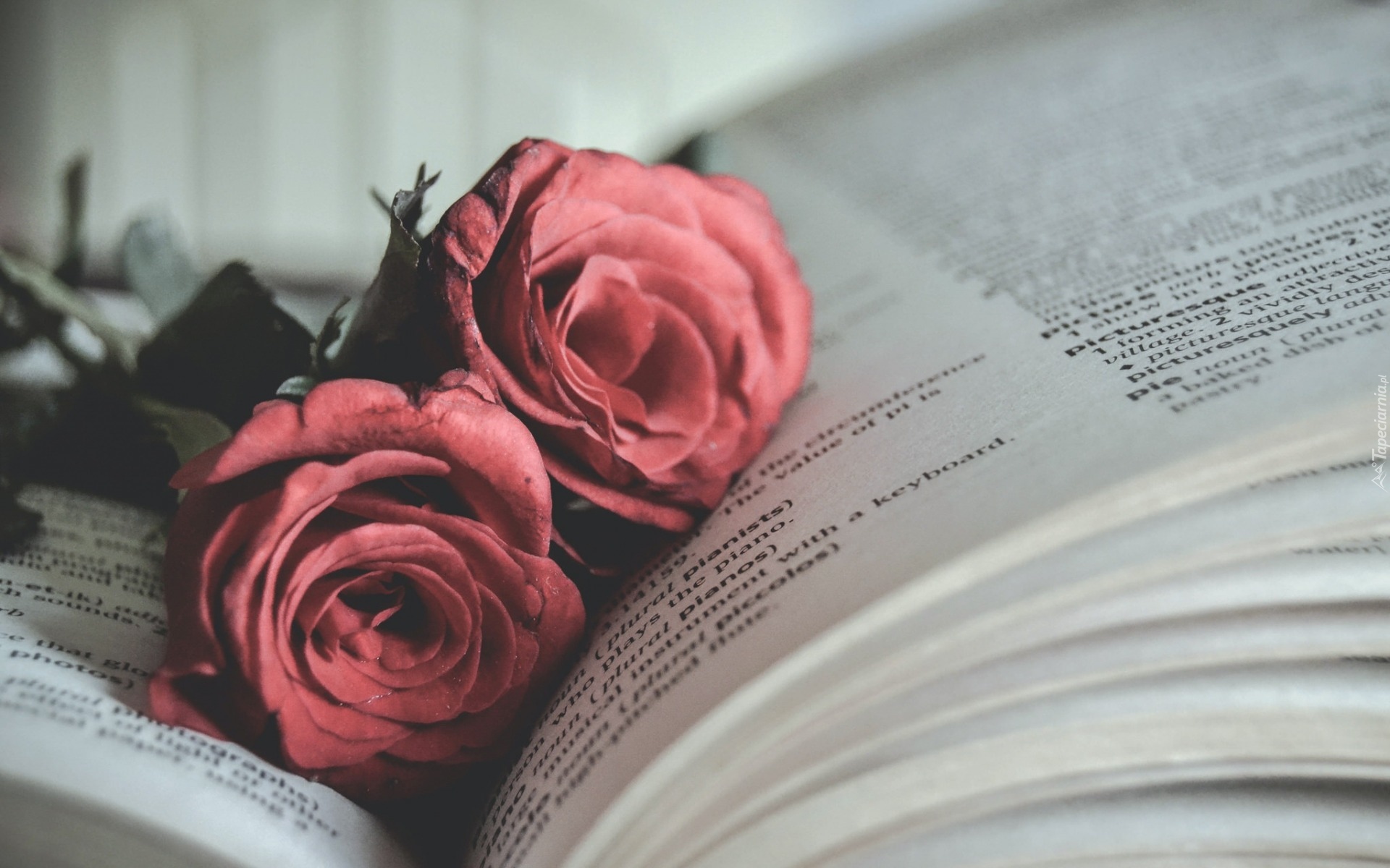 розы книга rose book загрузить