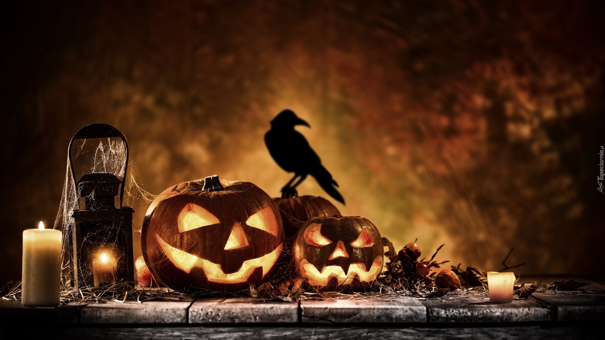 Halloween, Dynie, Świece, Lampion, Ptak