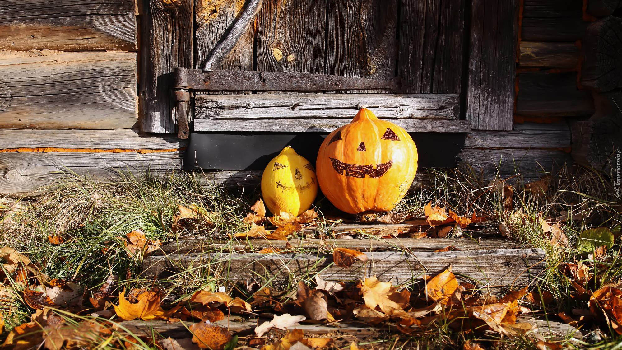 Halloween, Dwie, Dynie, Liście