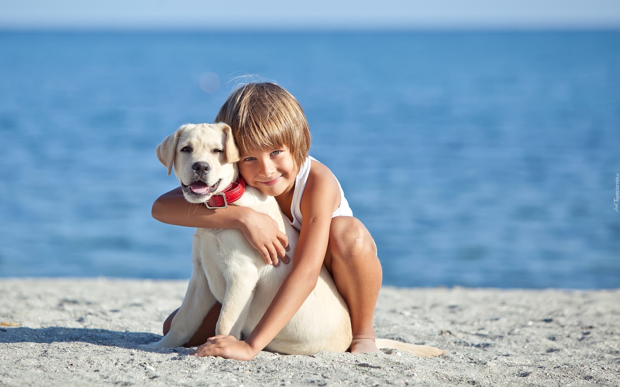 Dziecko, Szczeniak, Labrador retriever, Plaża, Woda