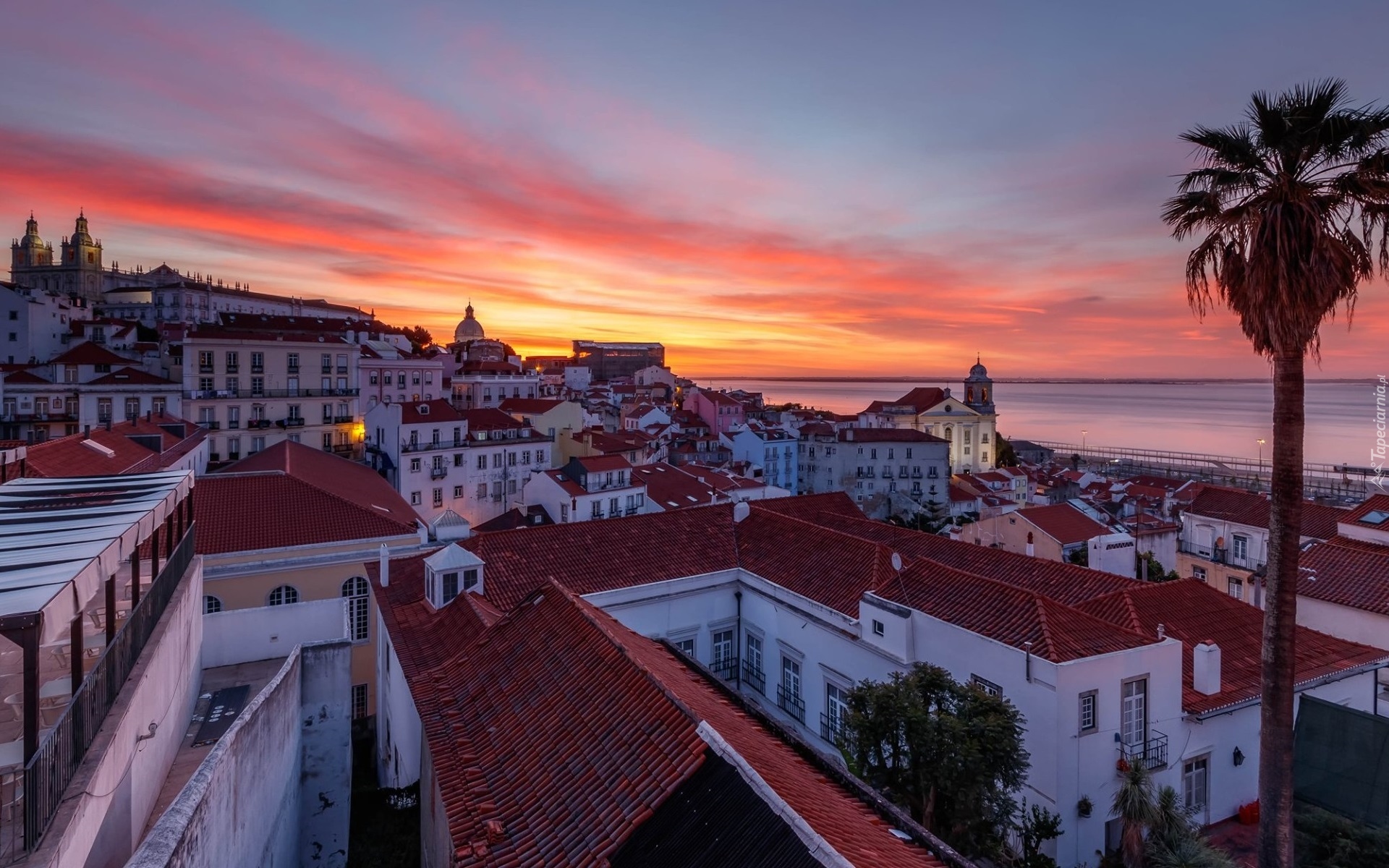 Portugalia, Lizbona, Dzielnica Alfama, Domy, Palma, Zachód słońca