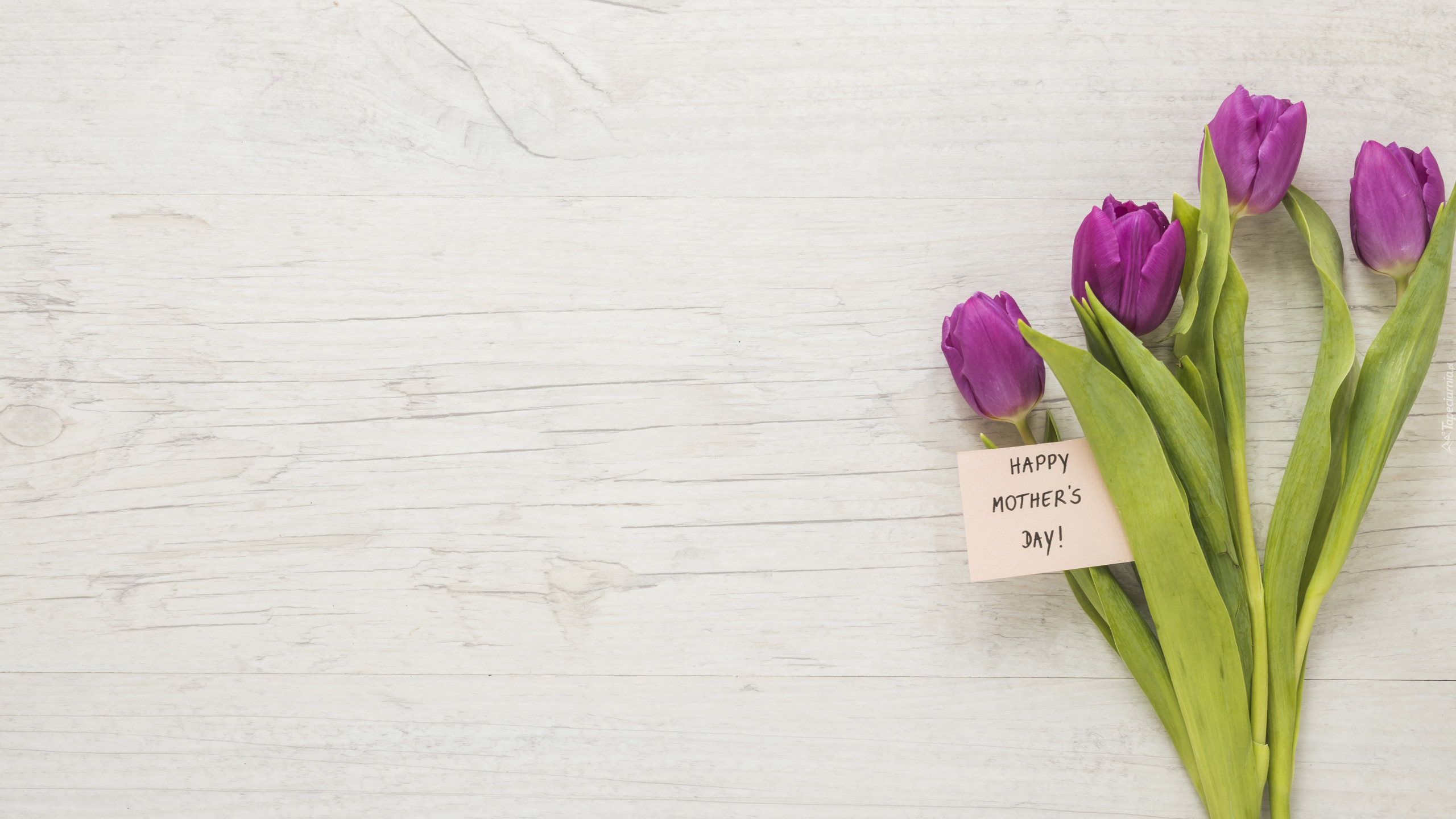 Tulipany, Karteczka, Napis, Dzień Matki