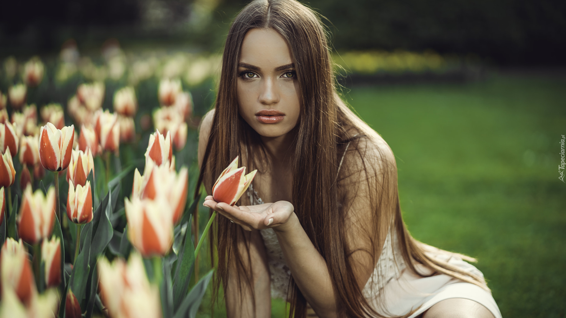 Kobieta, Szatynka, Kwiaty, Tulipany