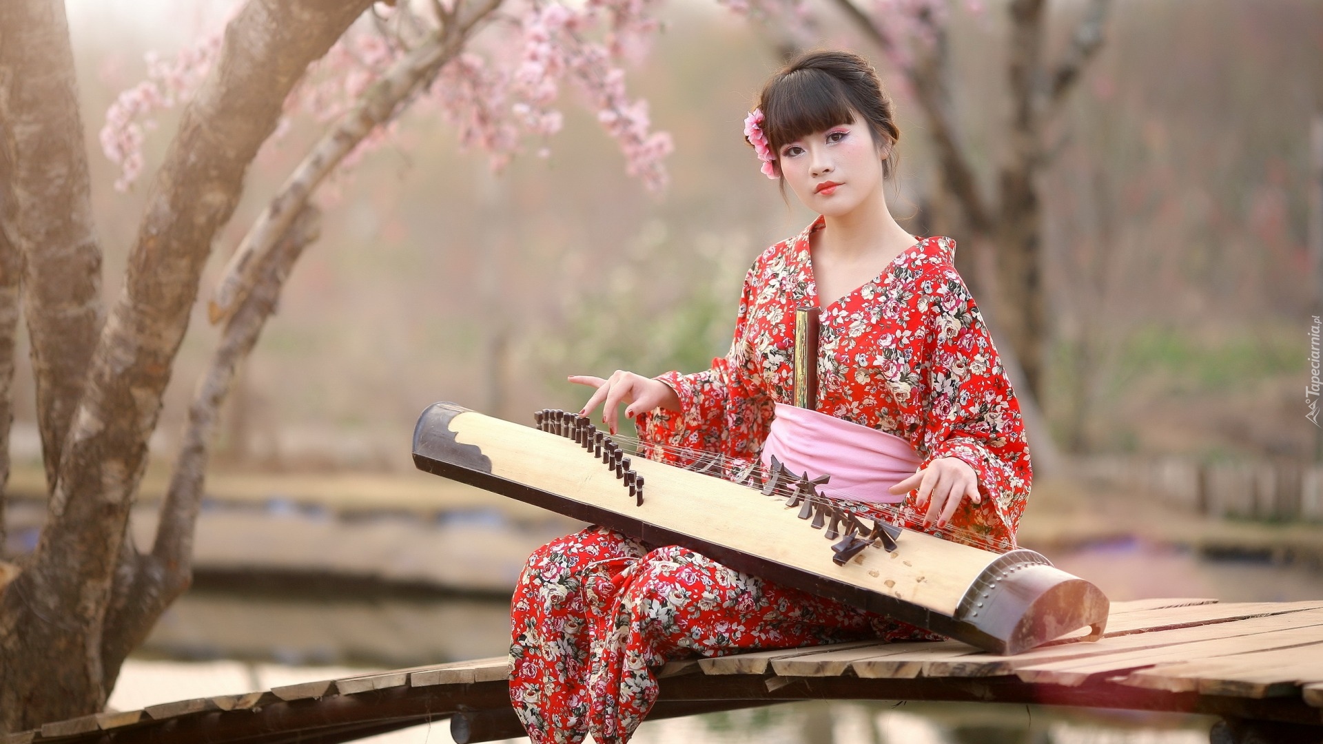 Dziewczyna, Kimono, Instrument, Koto