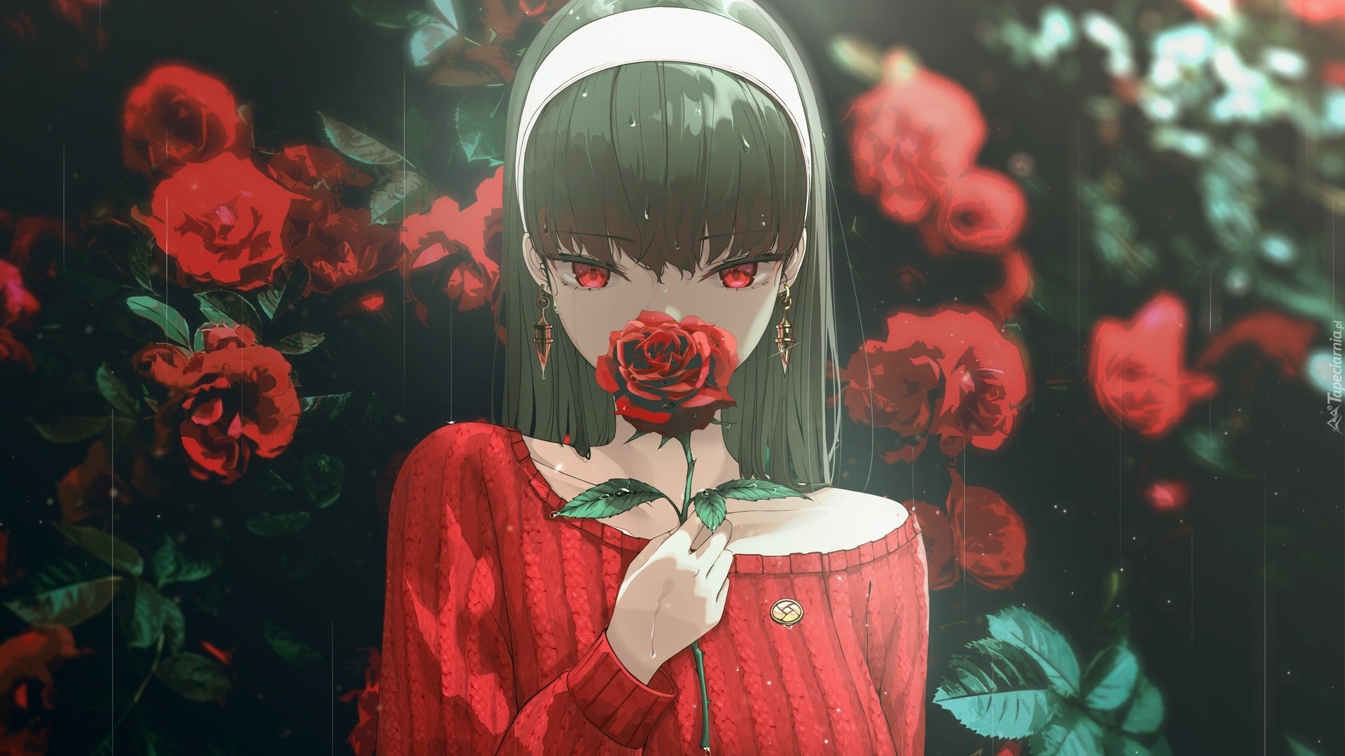 Dziewczyna, Czerwone, Oczy, Czerwony, Sweter, Róże, Anime