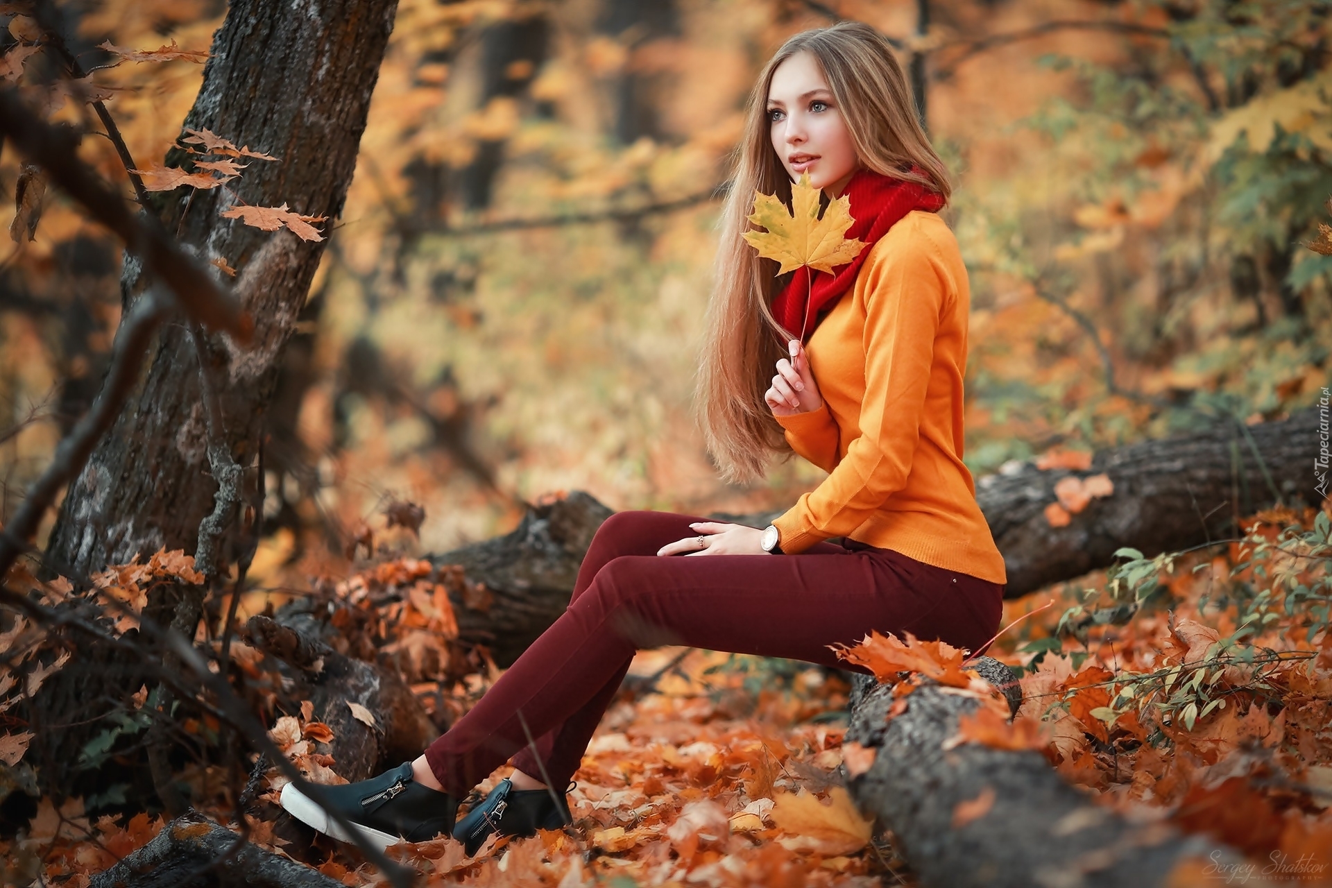 девушка листва осень лес кофта бесплатно
