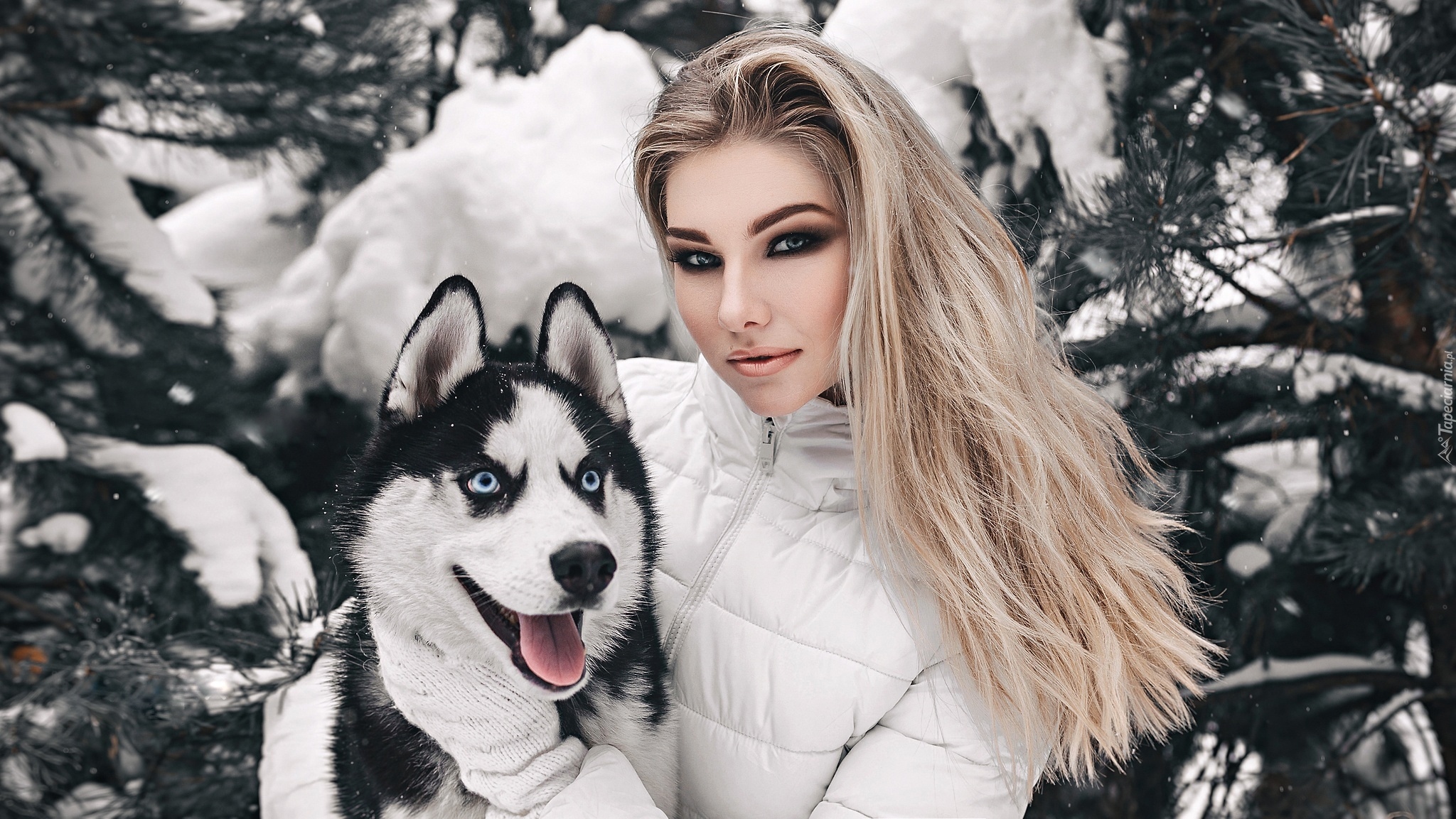 Dziewczyna, Blondynka, Pies, Siberian husky, Zima, Śnieg