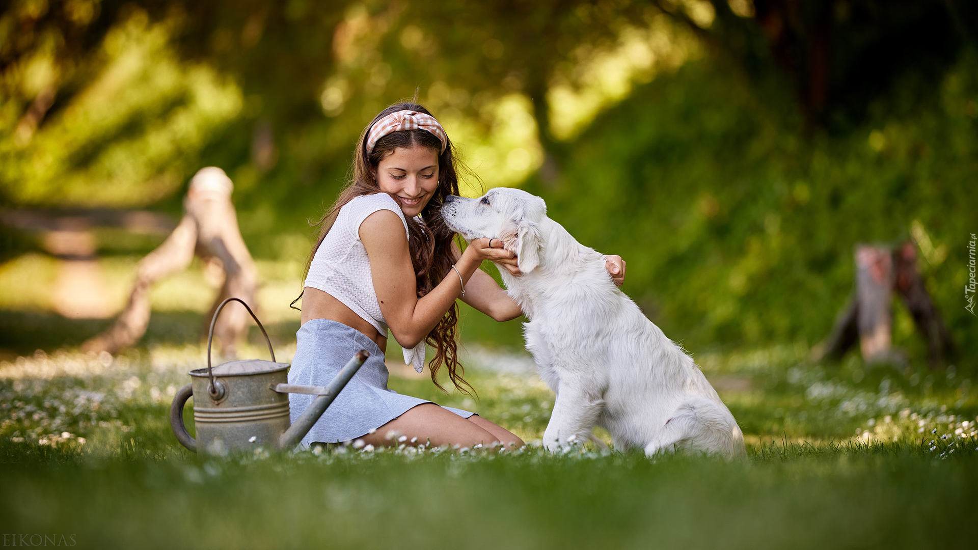 Dziewczyna, Szczeniak, Golden retriever