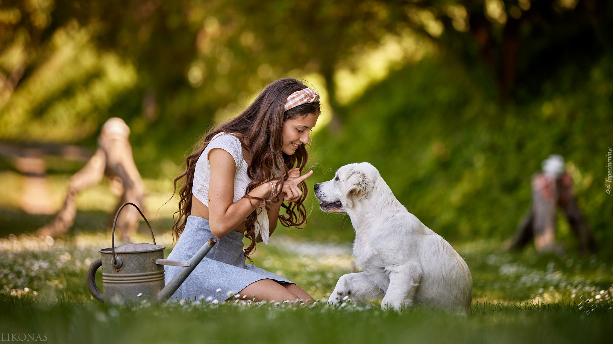 Dziewczyna, Łąka, Szczeniak, Golden retriever