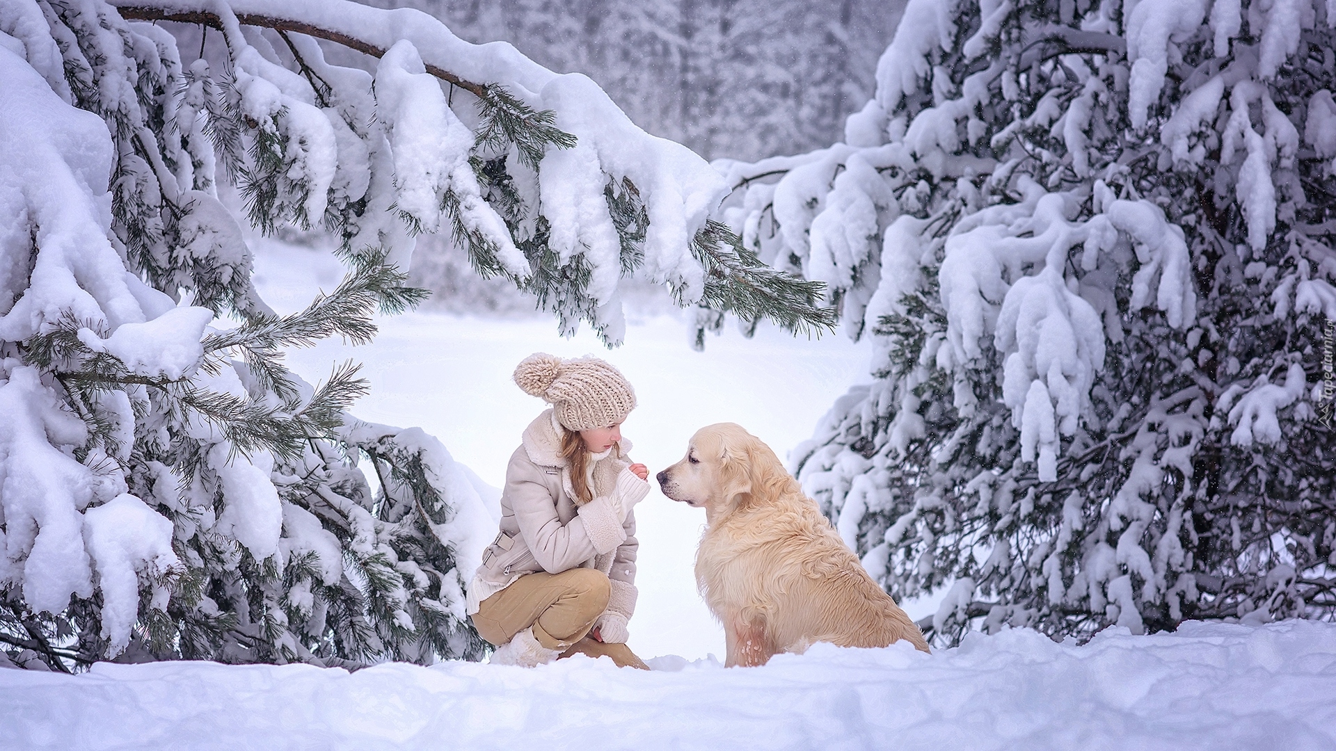 Dziewczynka, Pies, Golden retriever, Zima, Ośnieżone, Drzewa