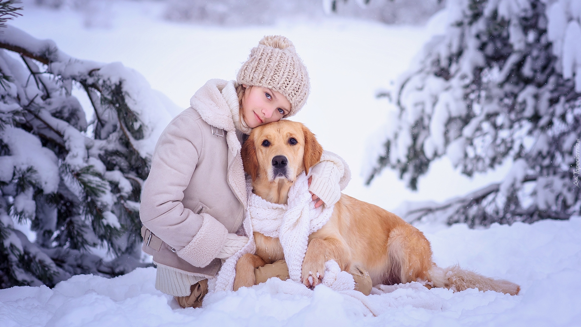 Dziewczynka, Pies, Golden retriever, Zima, Śnieg, Szalik