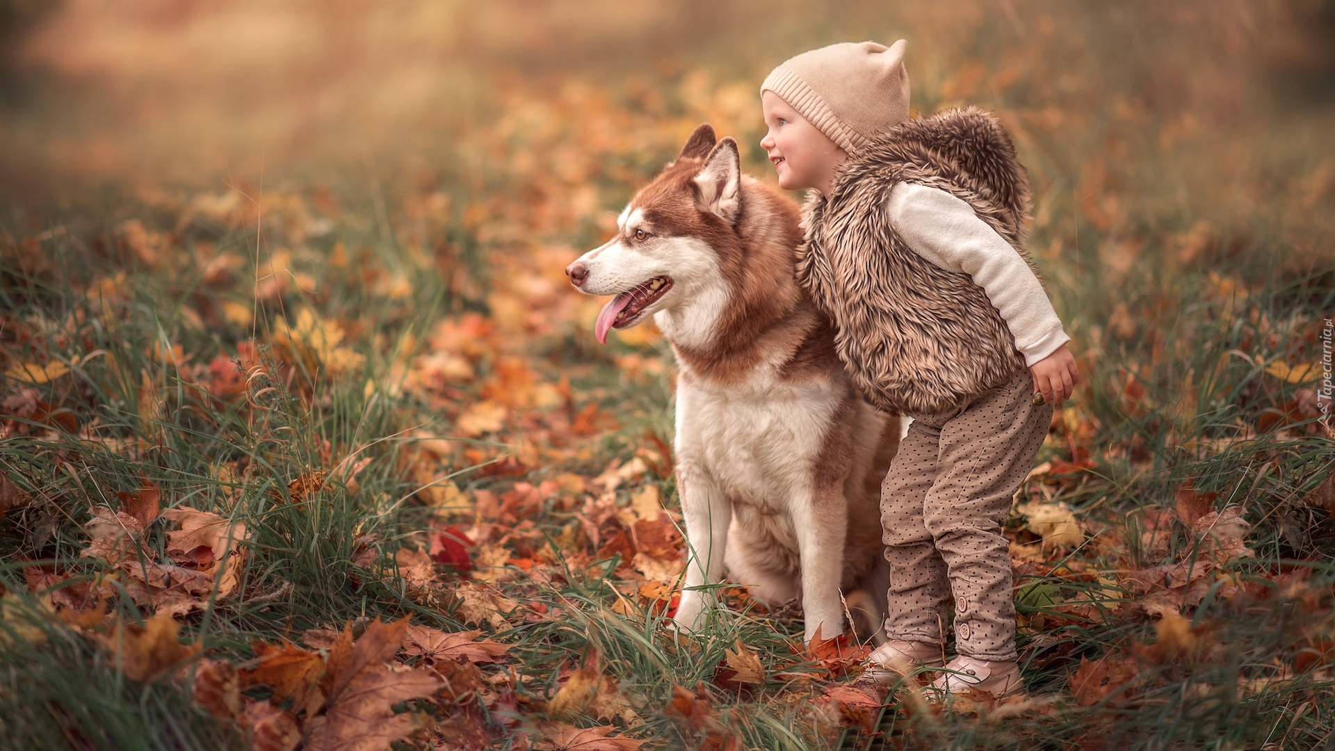 Dziewczynka, Pies, Siberian husky, Liście, Trawa