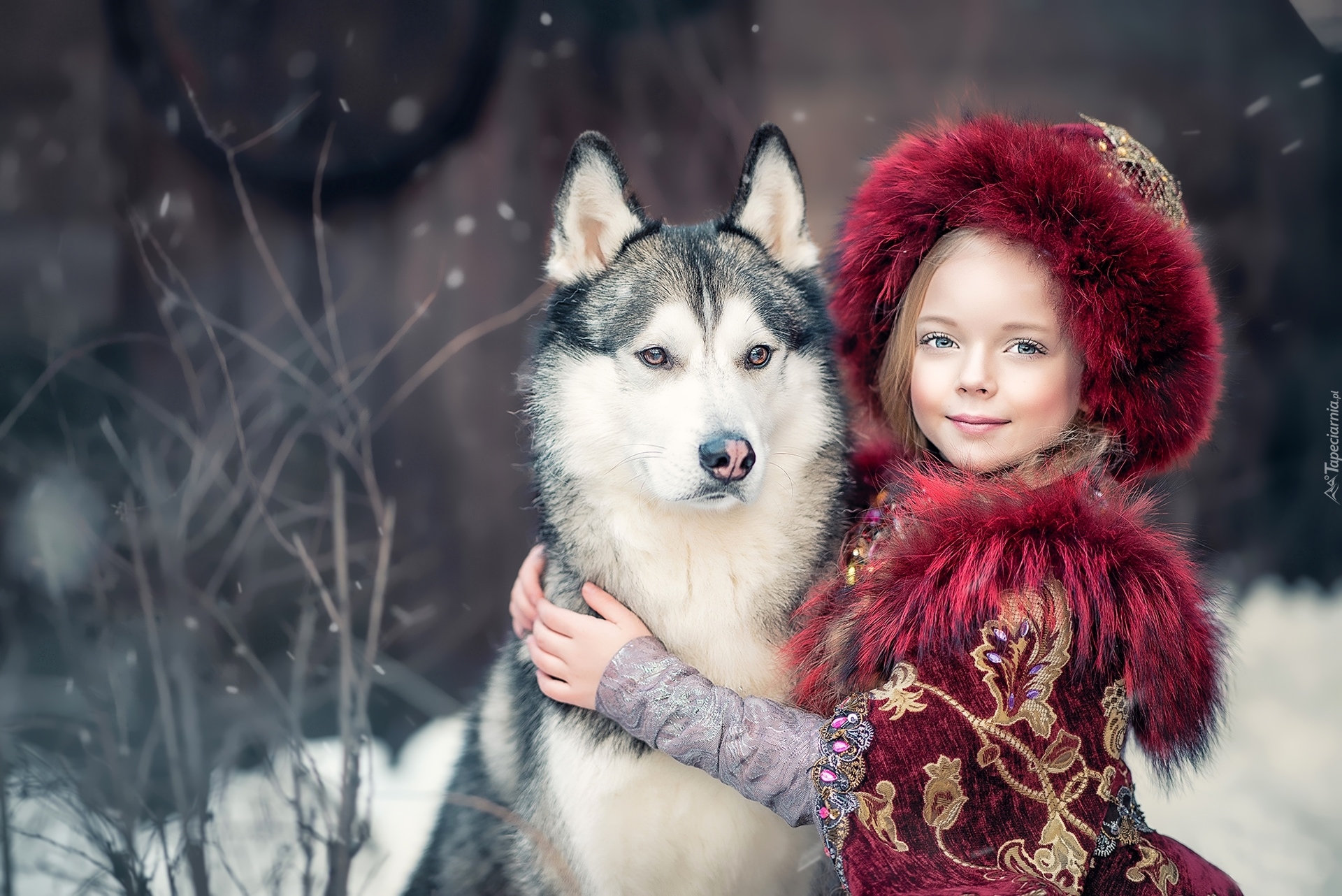 Dziewczynka, Pies, Siberian husky